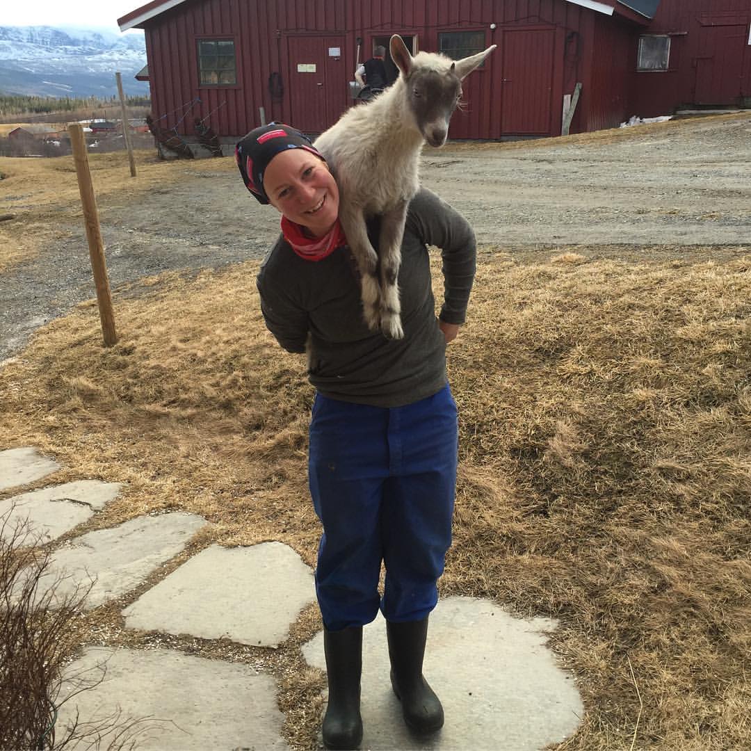 Logo Kje frå Øygar'n