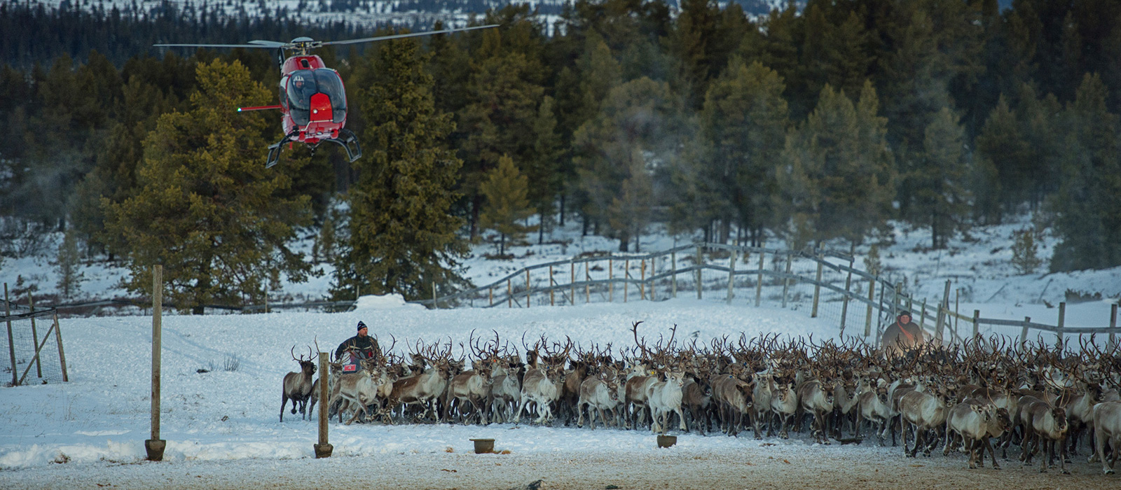 Her får du ei kjapp innføring i arbeidsmarknaden i Valdres. Foto: Ida Ask.