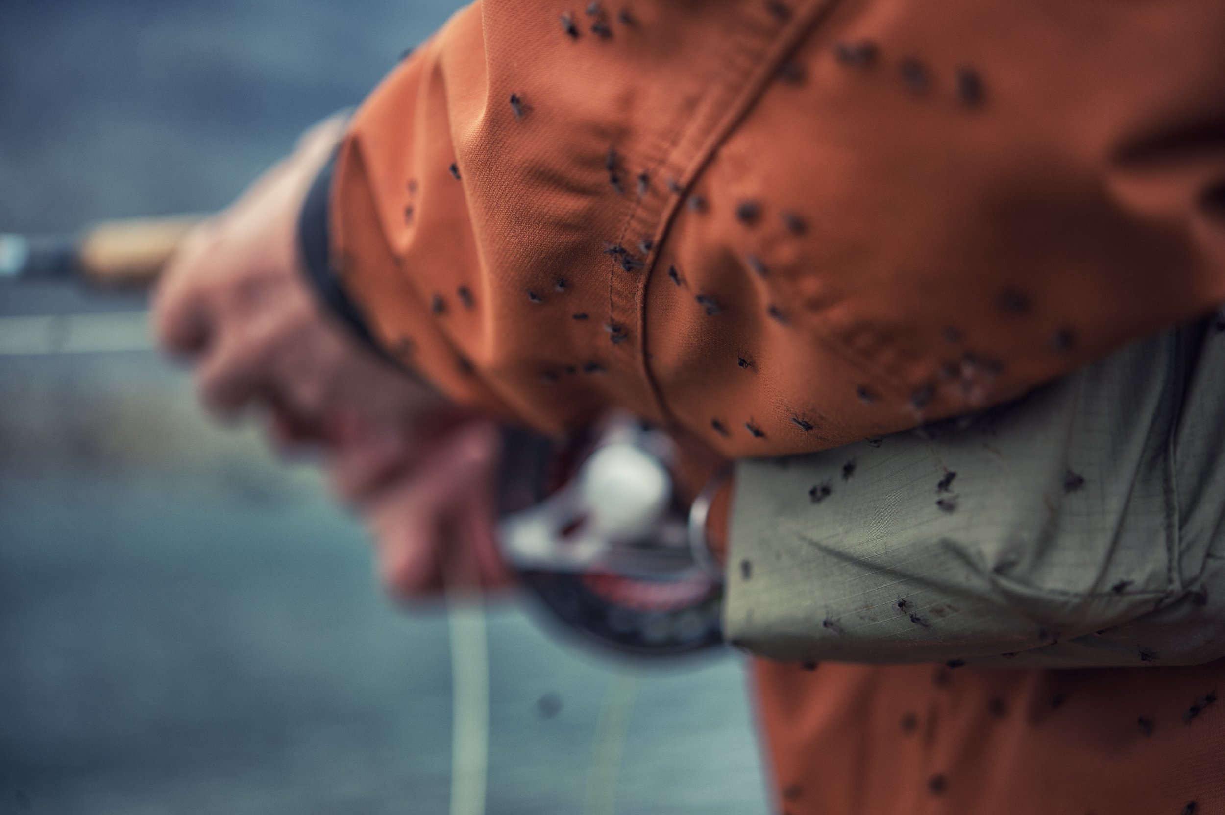 Vi hadde knallhard konkurranse om oppmerksomheten denne helga. Foto: Ida Ask.