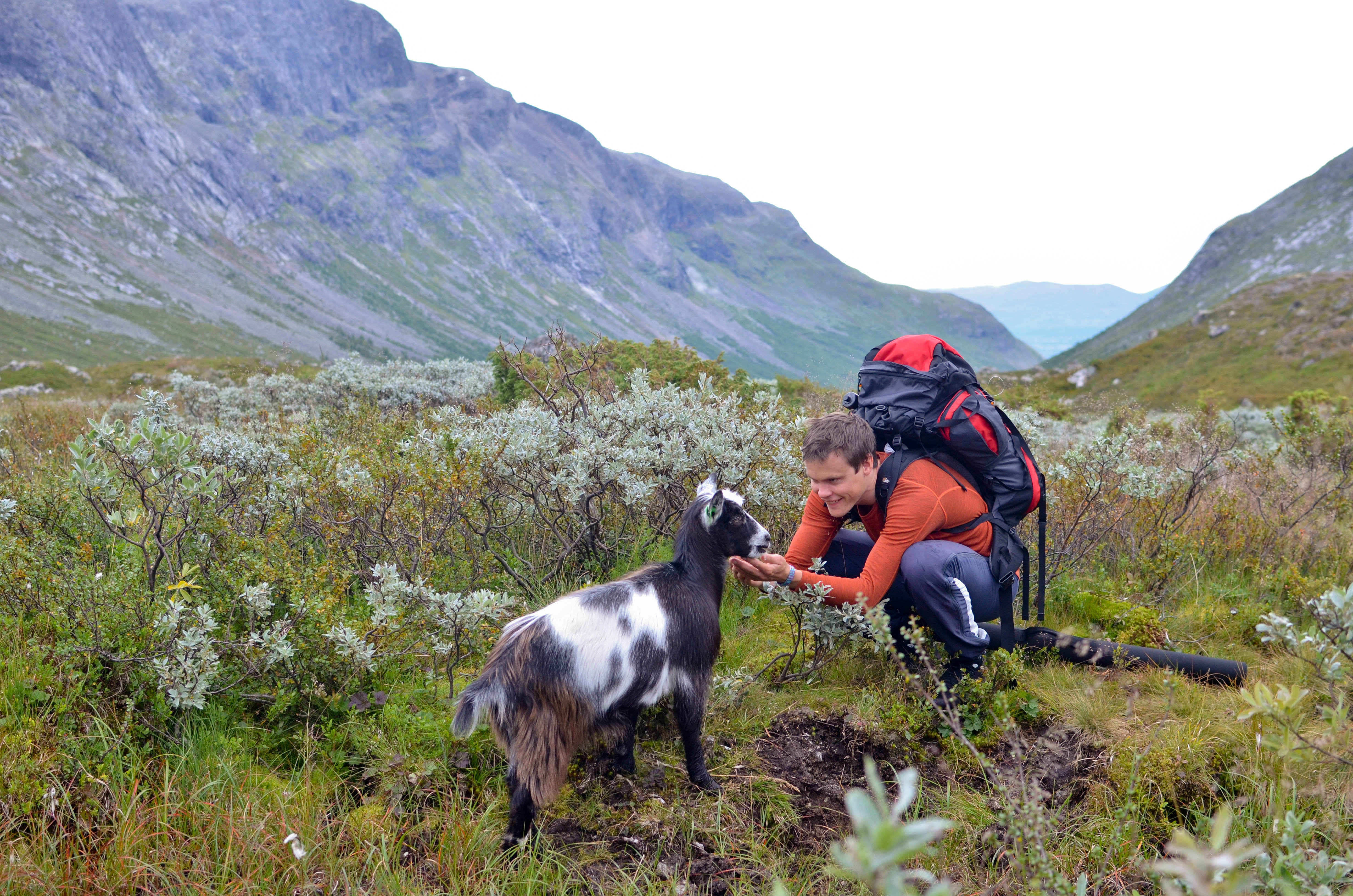Vang er ei fjellbygd turen kan starte frå dørstokken, ein av stølsvegane eller ein fjellovergang.