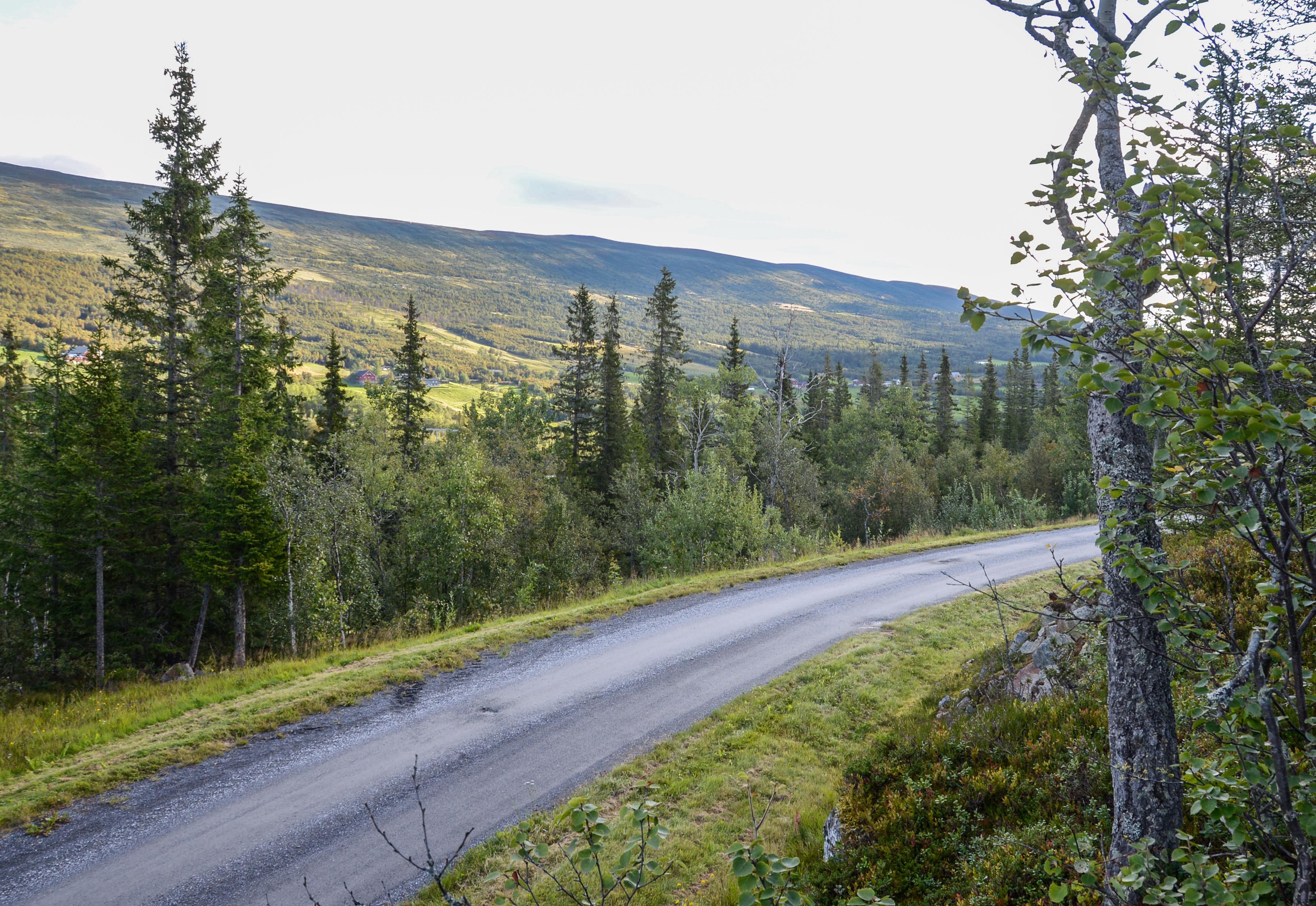 Midt mellom dalbotnen og høgfjellet ligg Åsvang.
