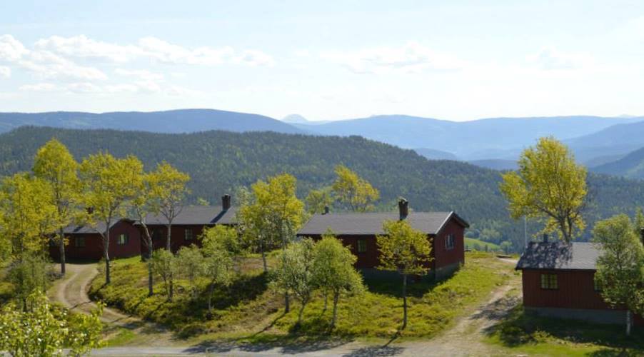 10443673_777579725619933_6657175589627213569_n (1).jpg