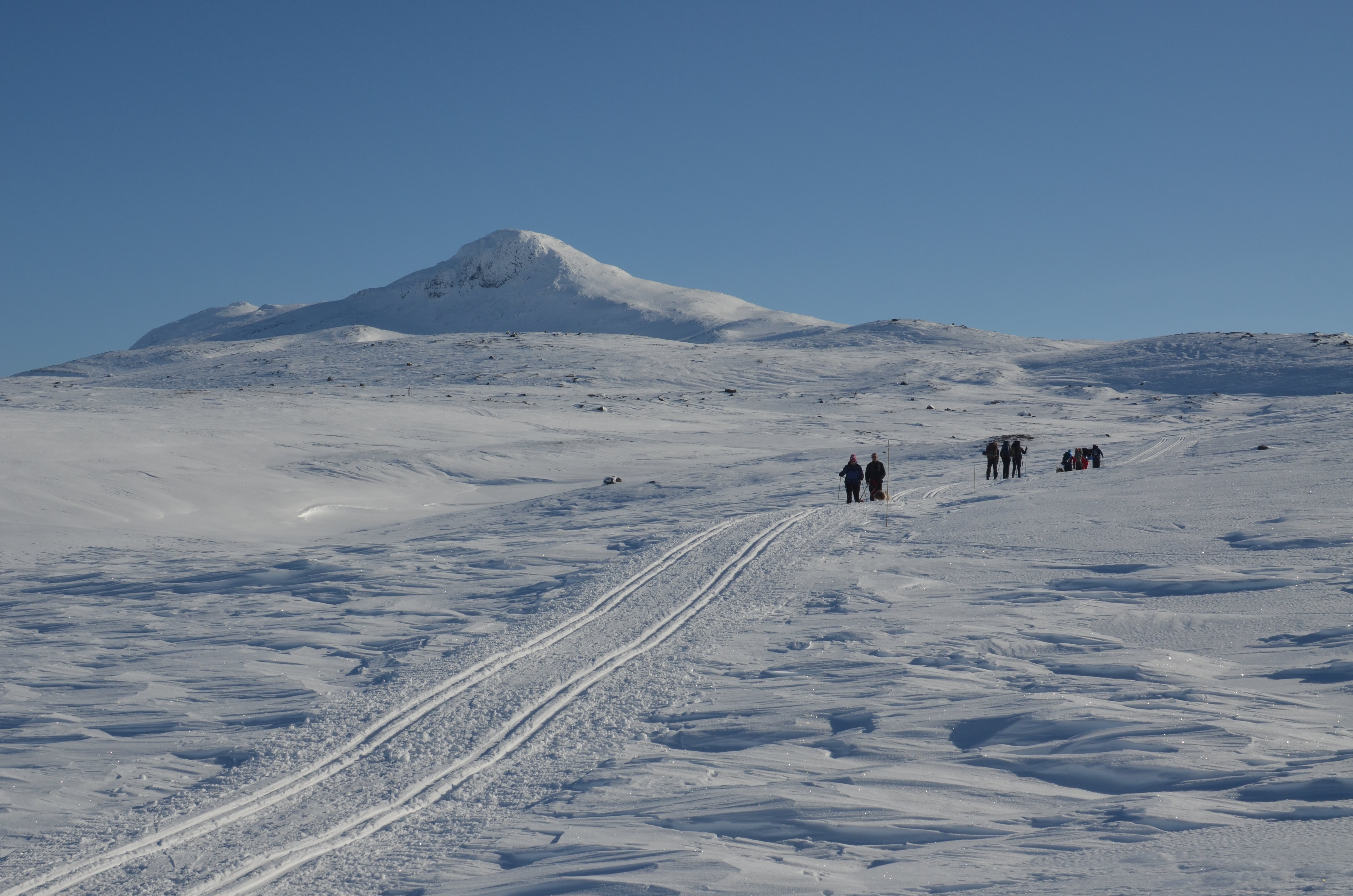 Løypenettet på Tyin–Filefjell strekk seg milevis innover fjellet. Foto: Hallgrim Rogn.