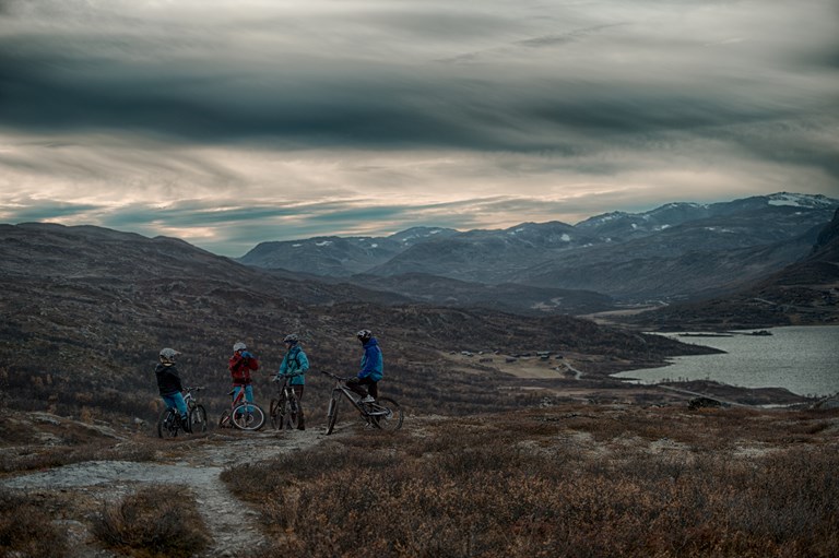 Stisyklistar på tur i området kring skiheisen på Tyin–Filefjell. Foto: Ida Ask.