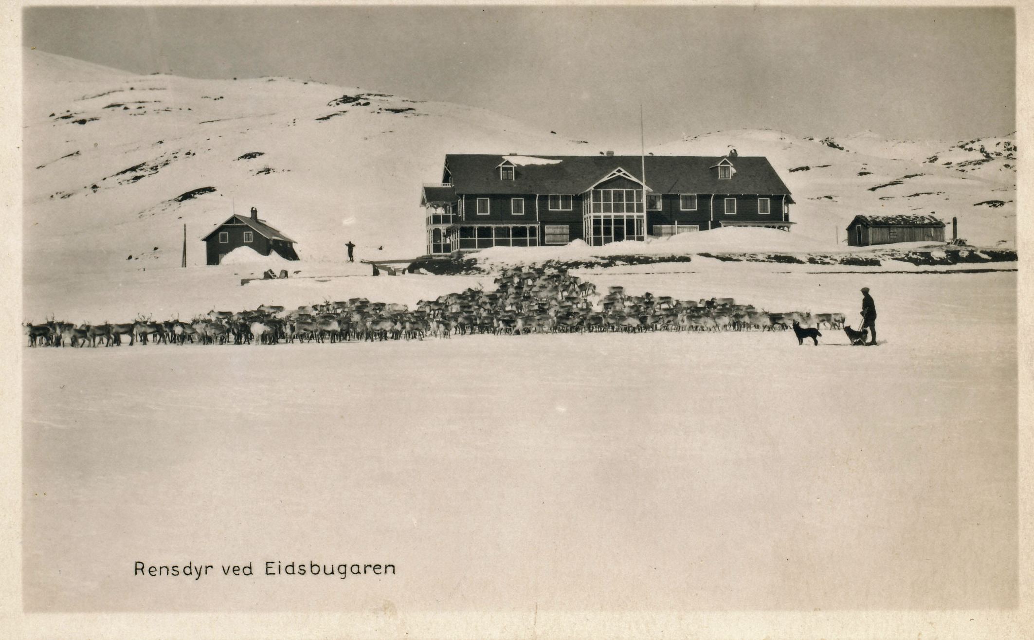 Eidsbugarden, rein.jpg