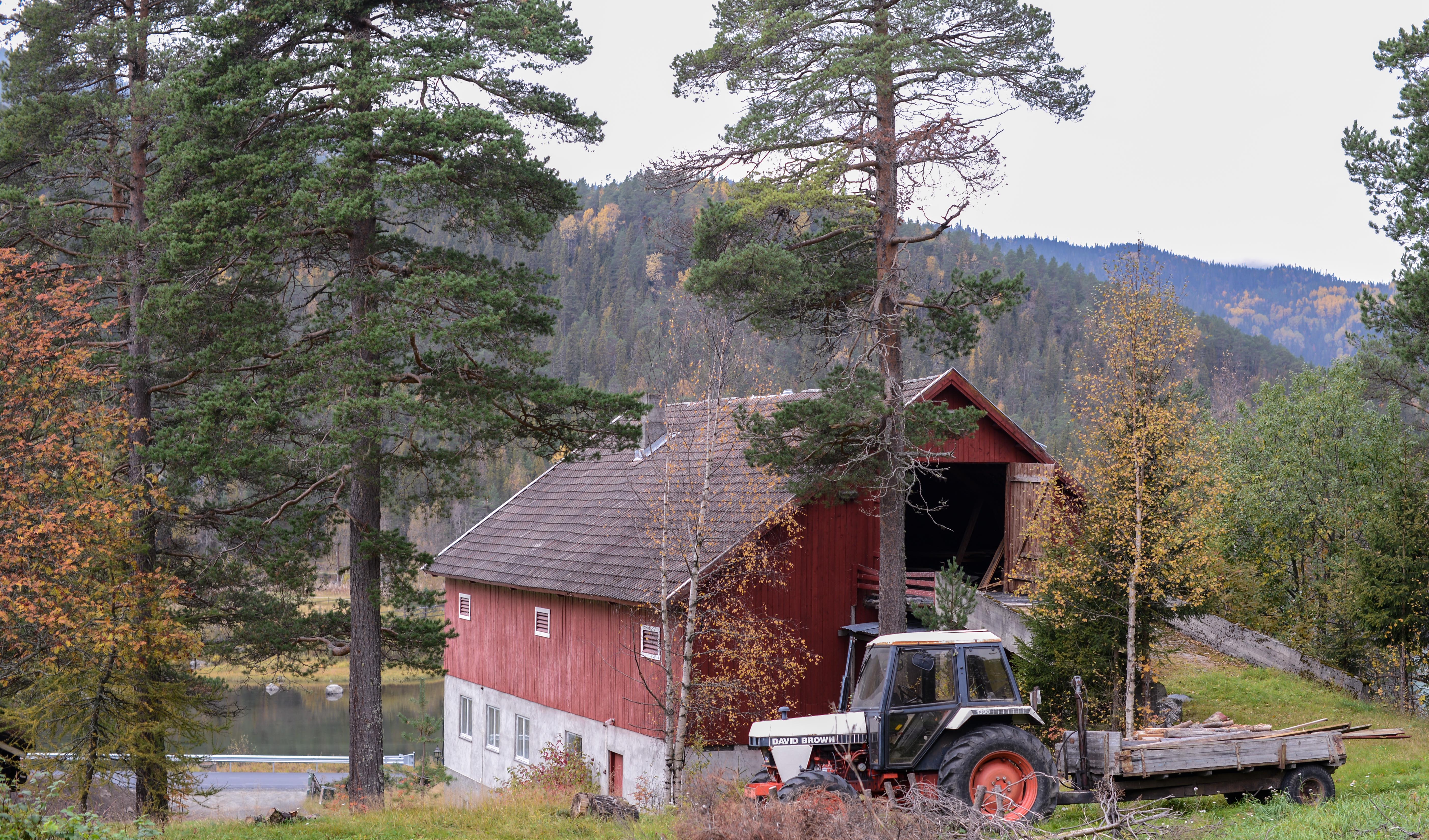 I bakkant av låven ligg eit stort skogsområde.