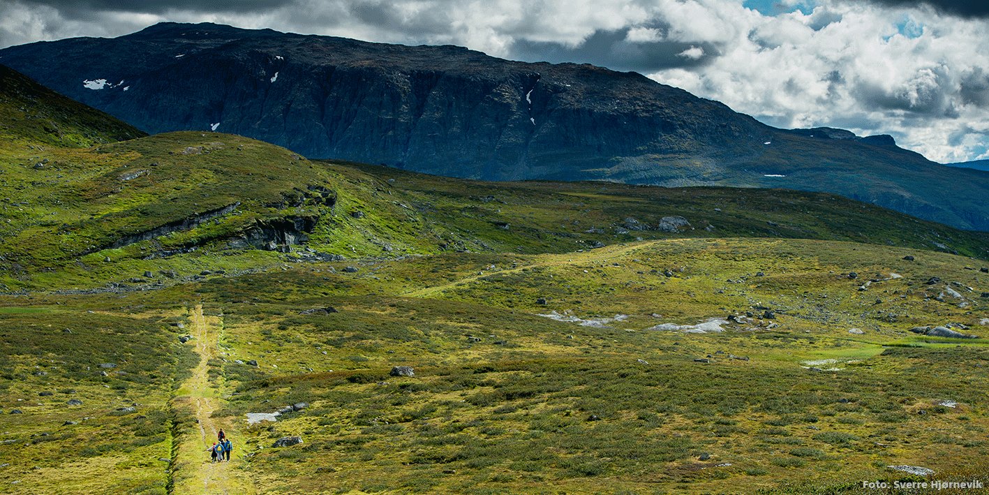 Frå Kongevegen over Filefjell. Foto: Sverre Hjørnevik