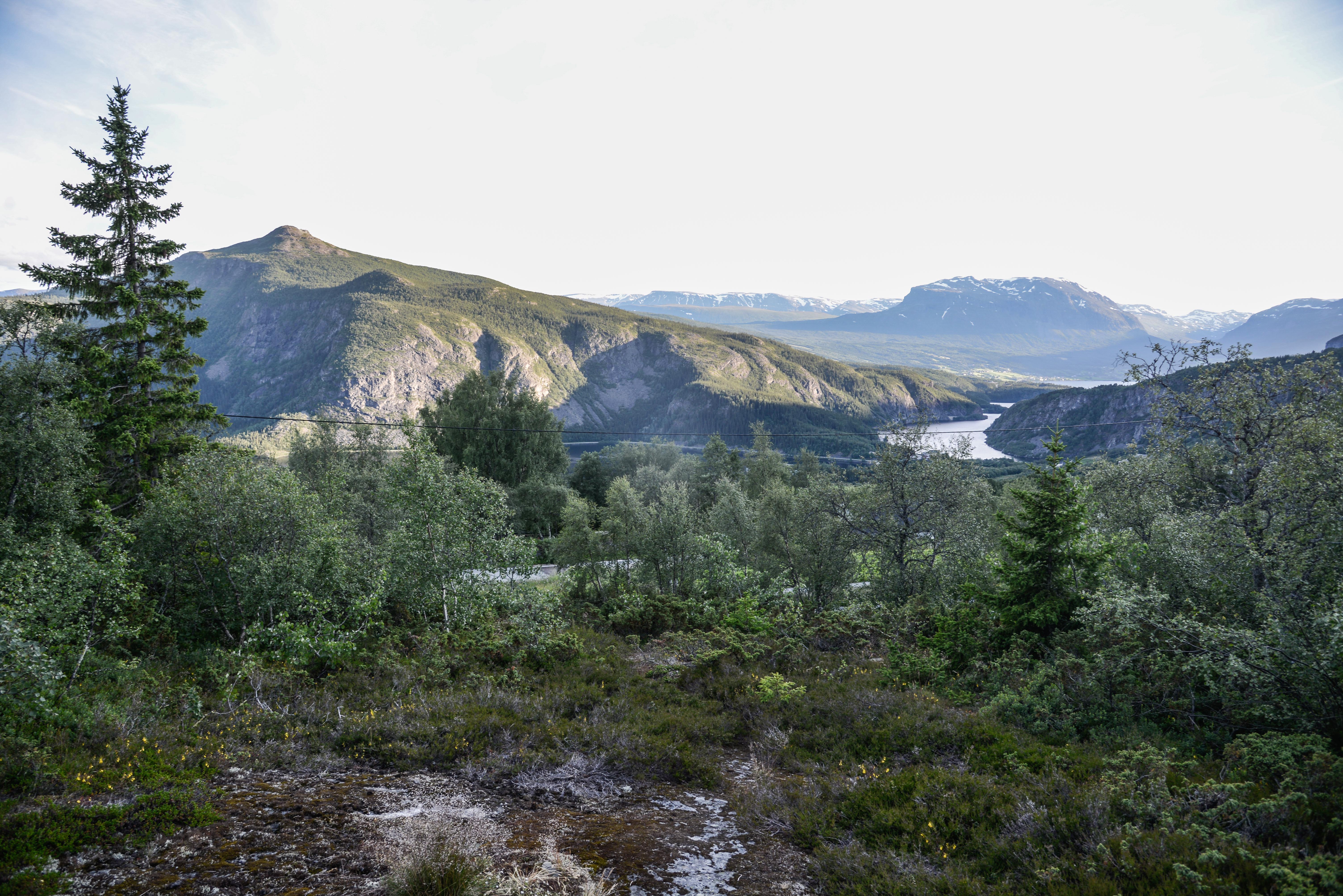 Utsyn frå det nye byggefeltet på Åsvang.