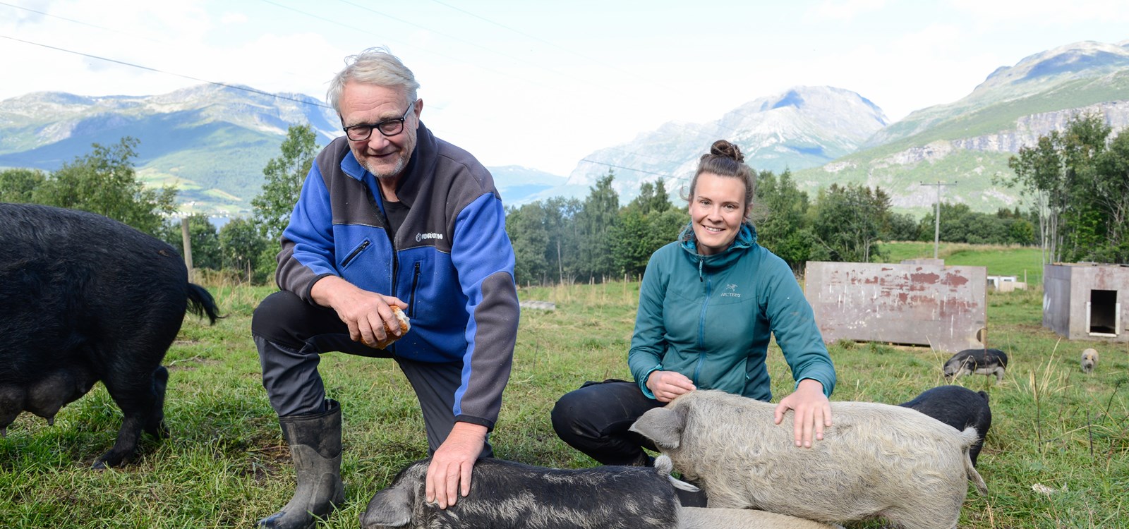John G. Haugen og dottera Andrea Haugen deler på ansvaret for både stell og kos for ulllgrisane på Nertrost fjellgard.