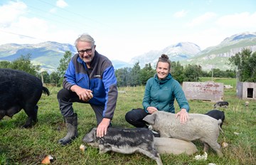 John G. Haugen og dottera Andrea Haugen deler på ansvaret for både stell og kos for ulllgrisane på Nertrost fjellgard.