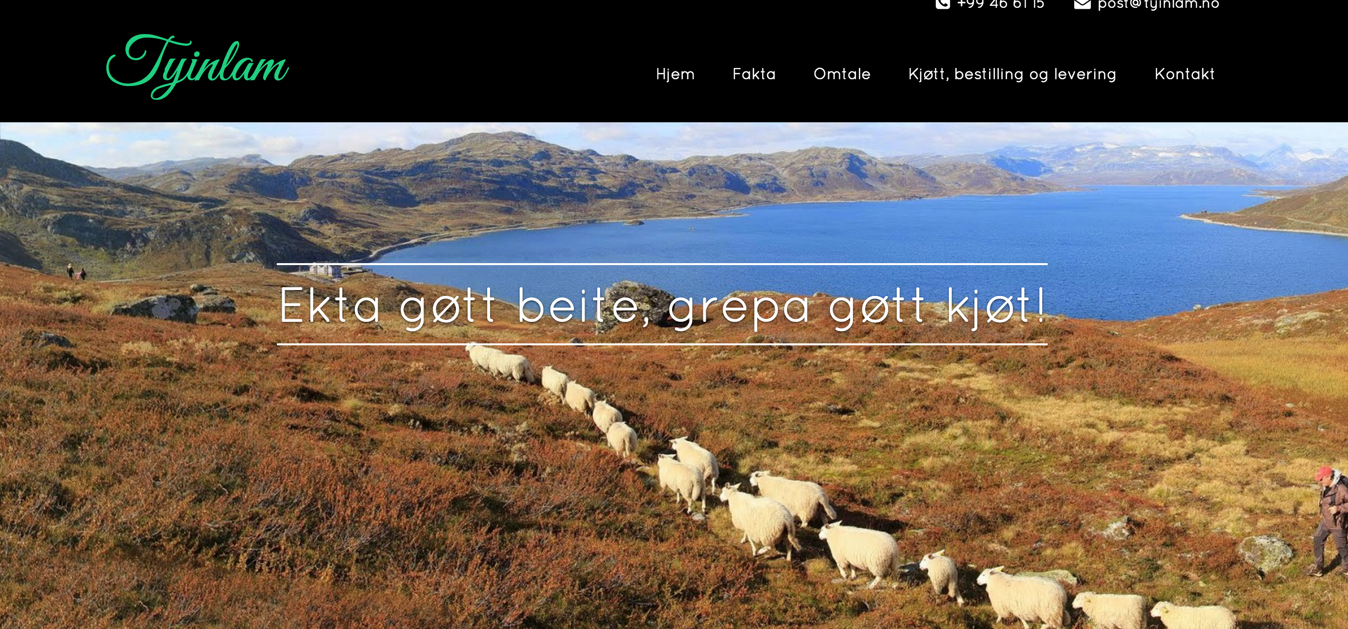 Skjermbilde 2015-11-03 10.45.24.png