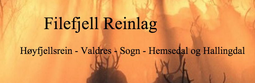 Logo Filefjell reinlag