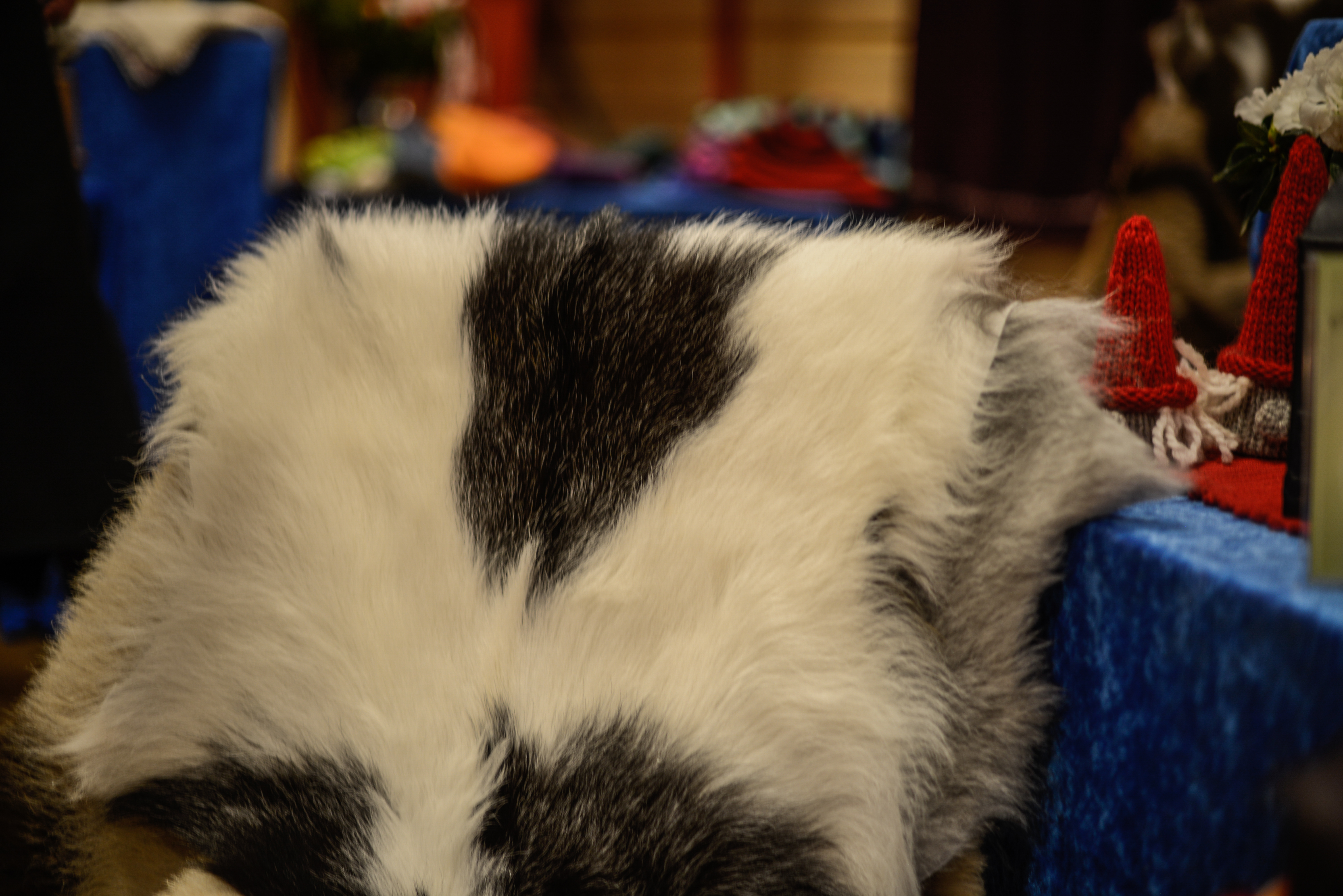 Belsheim (3 of 3).jpg