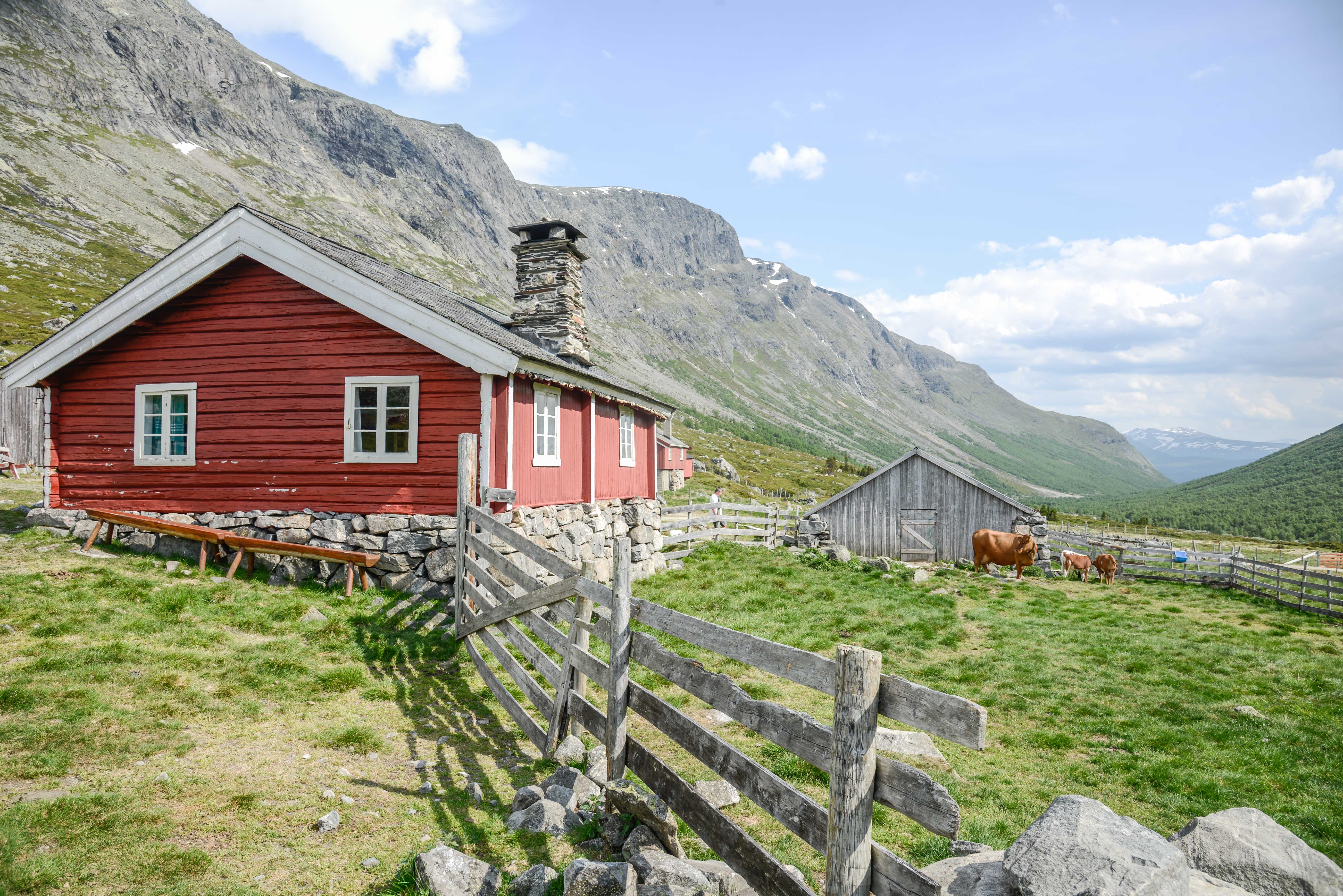 Logo Sparstadtrøe i Sanddalen