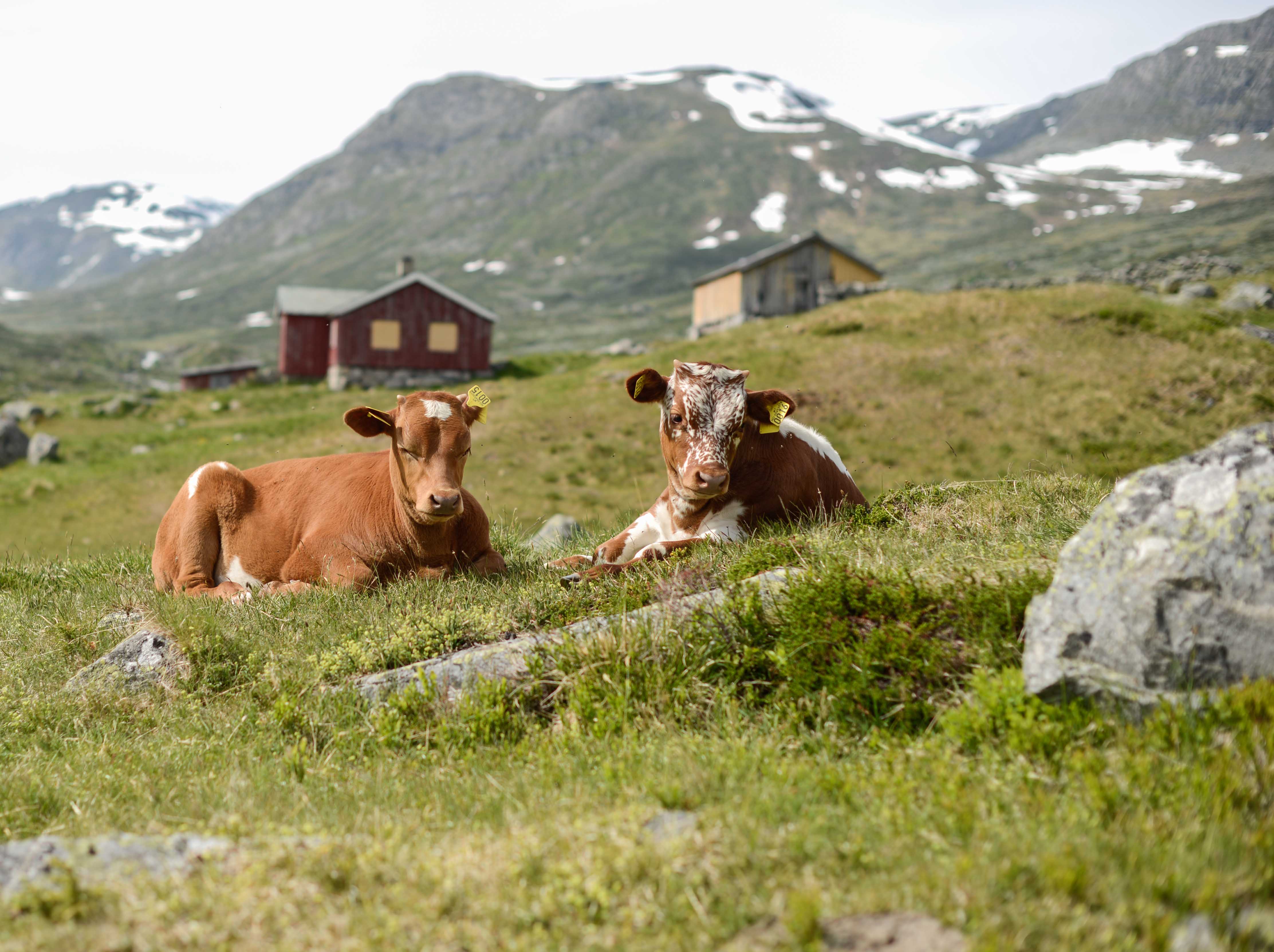 Sparstad (2 of 4).jpg