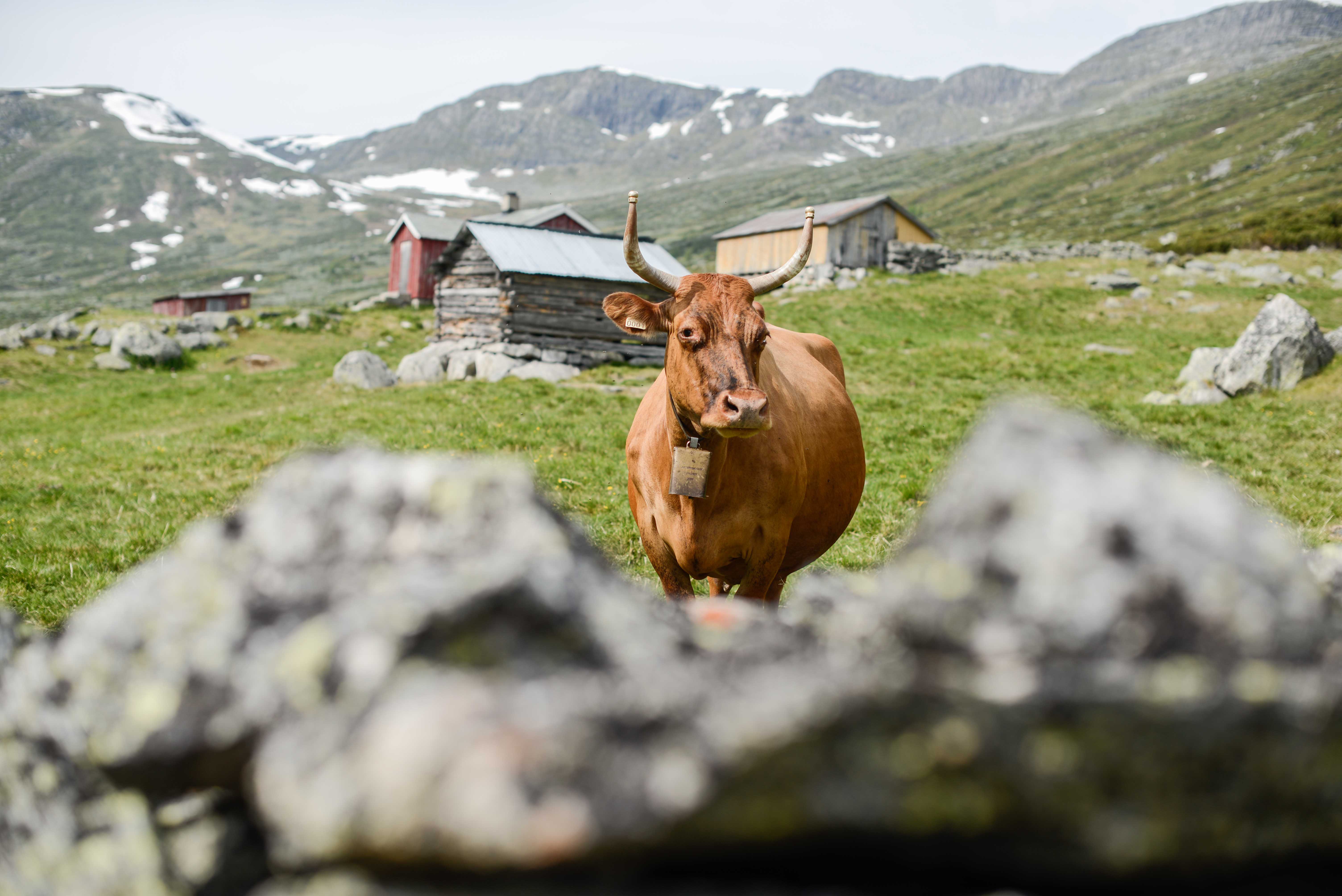 Sparstad (1 of 4).jpg