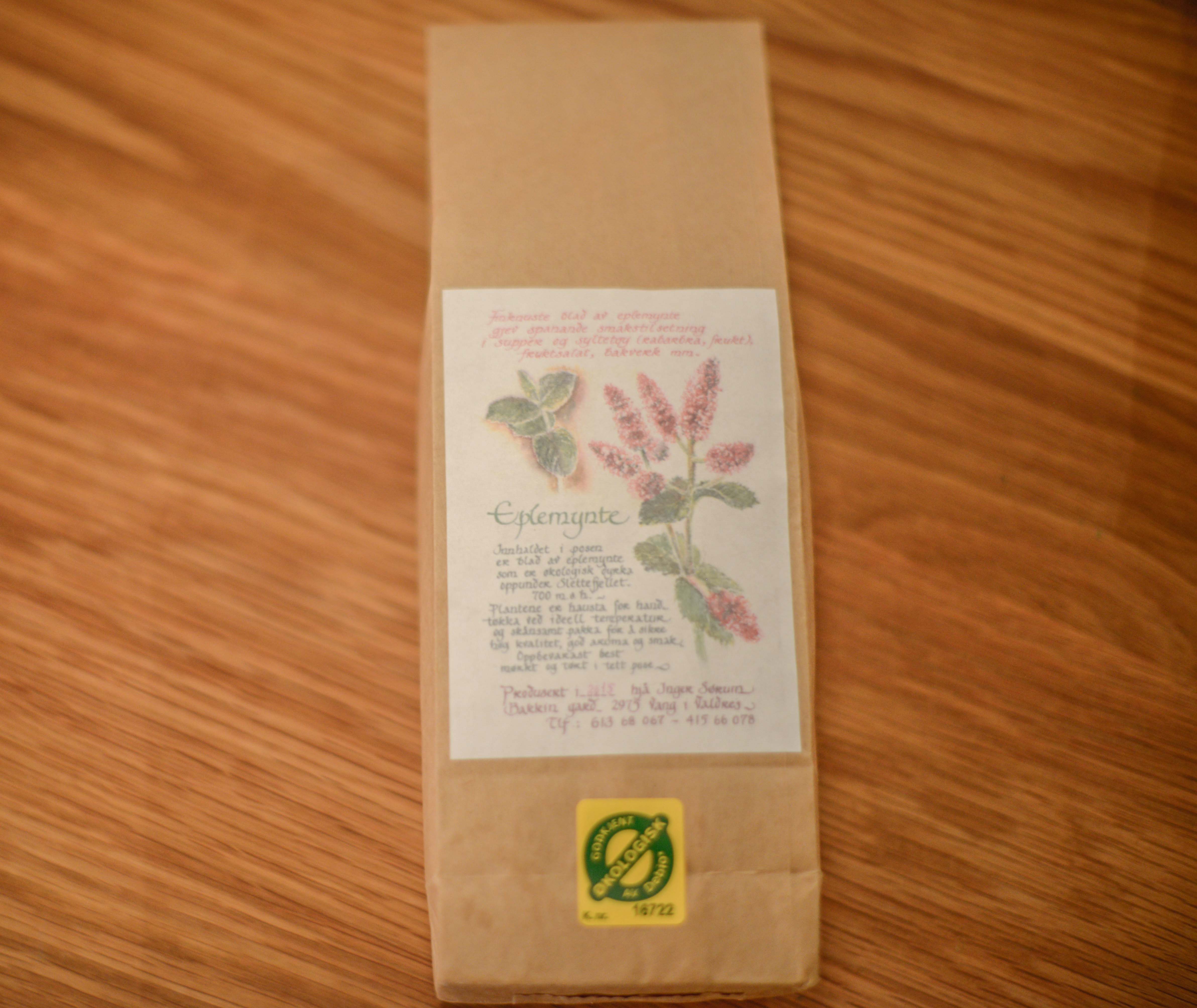 Inger Sørum (1 of 1).jpg