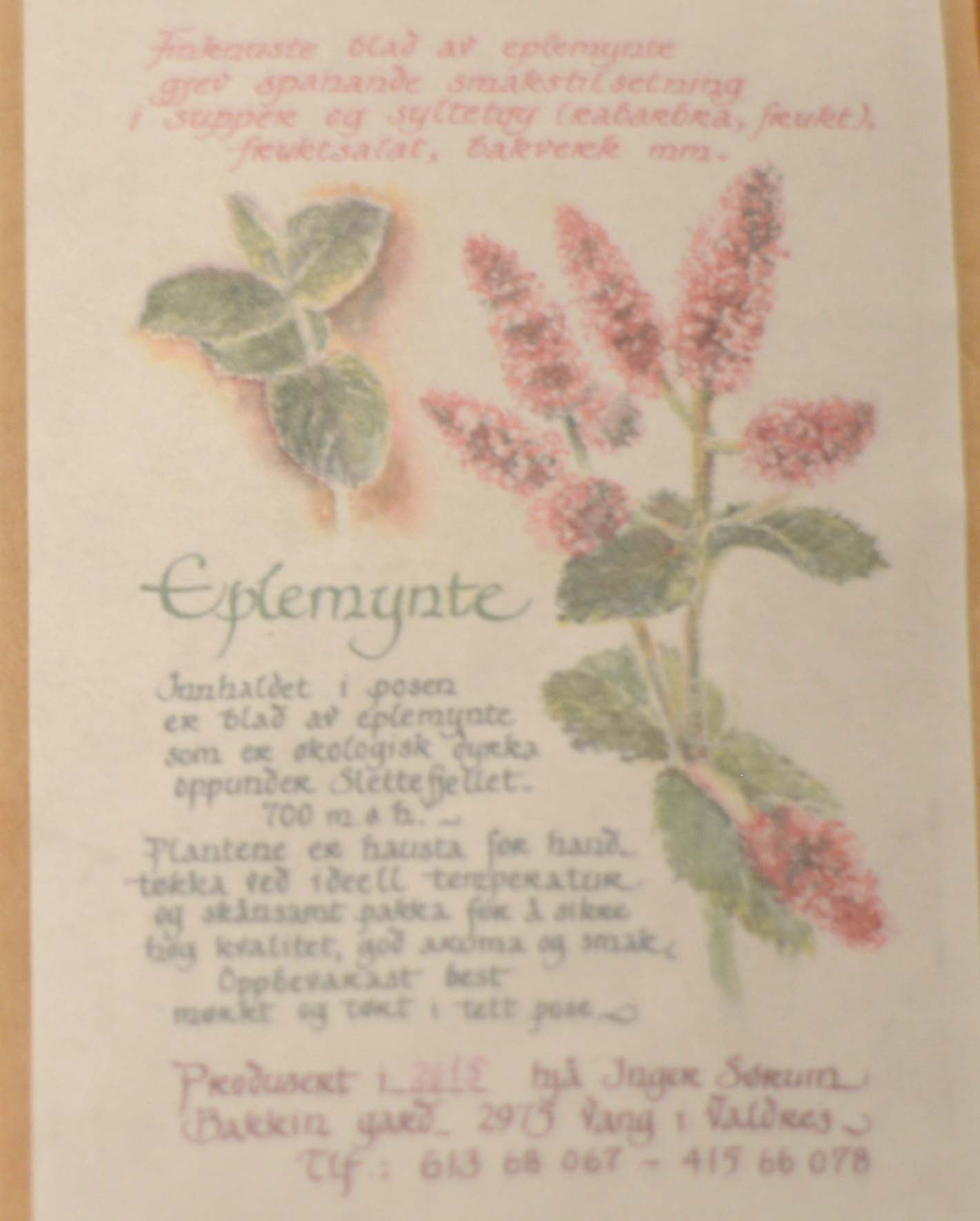 Logo Te – Inger Sørum