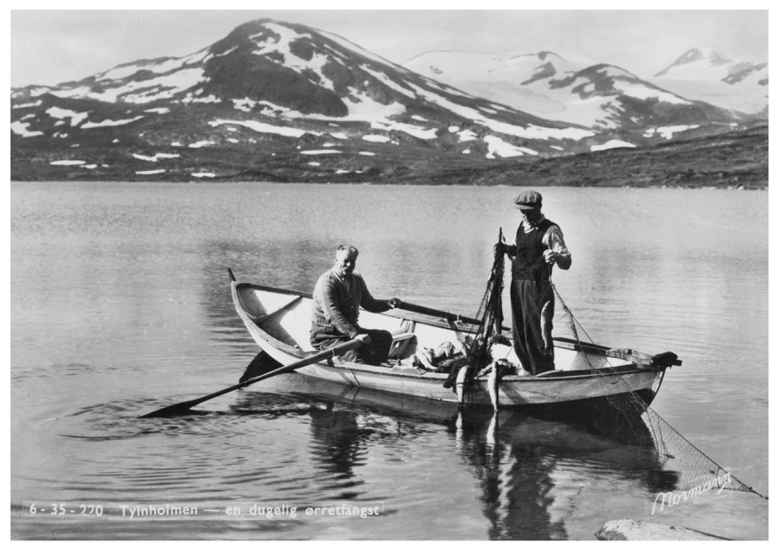 Storstilt fiske i Tyin.jpg