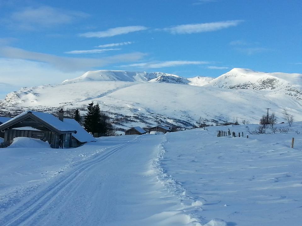 Frå løypa rundt Slettefjellet. Foto: Ingrid Asheim Hennum