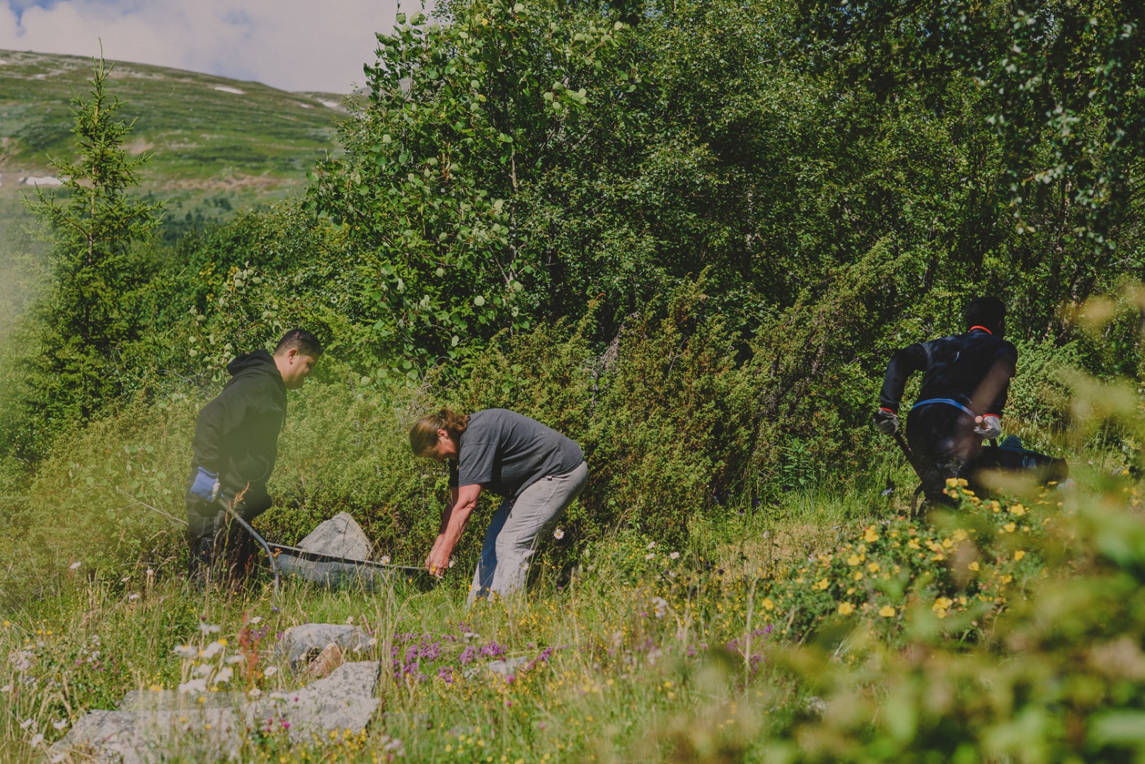 Low res-0981.jpg (1)