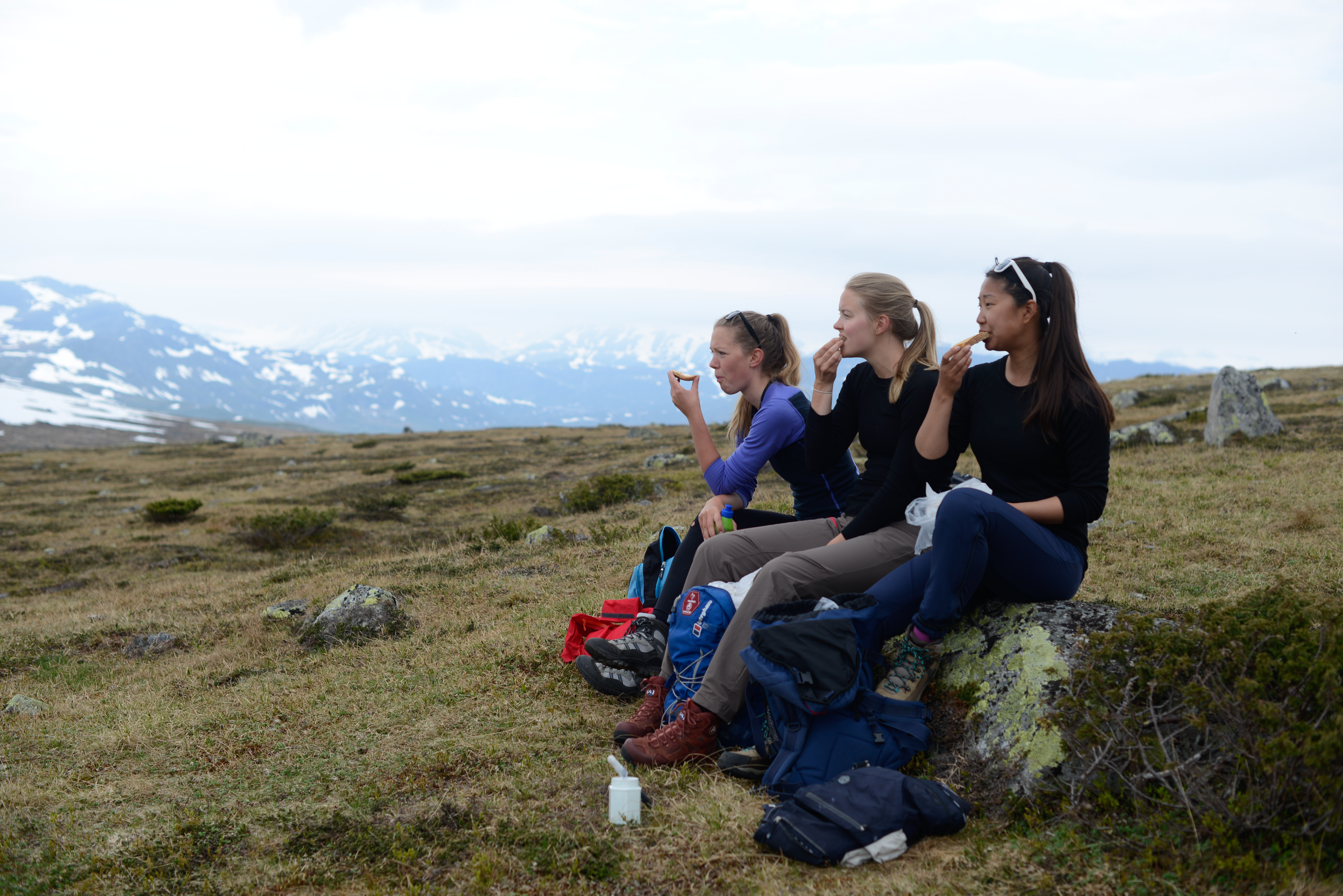 Tett på - stimerking (28 of 33).jpg