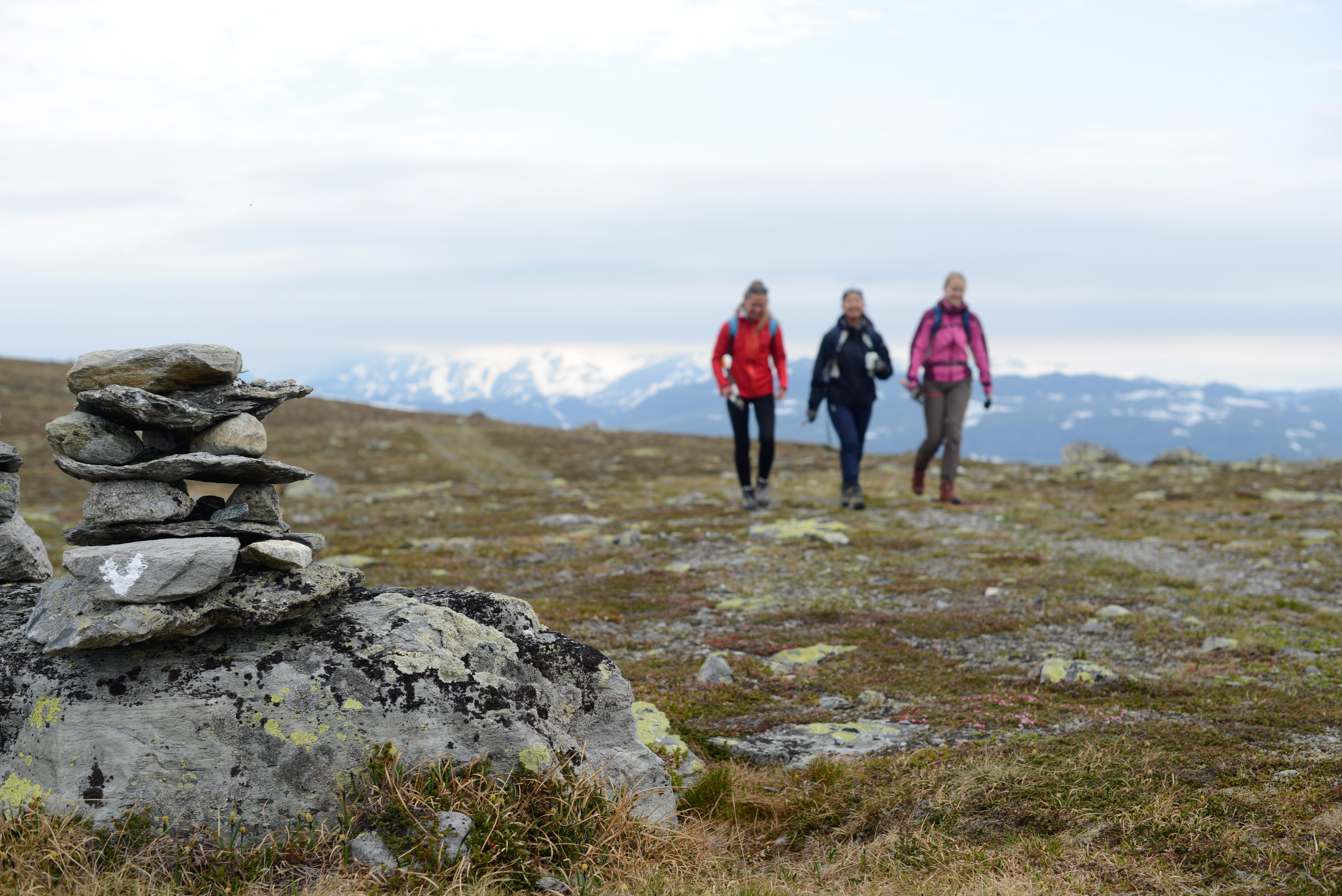 Tett på - stimerking (8 of 33).jpg