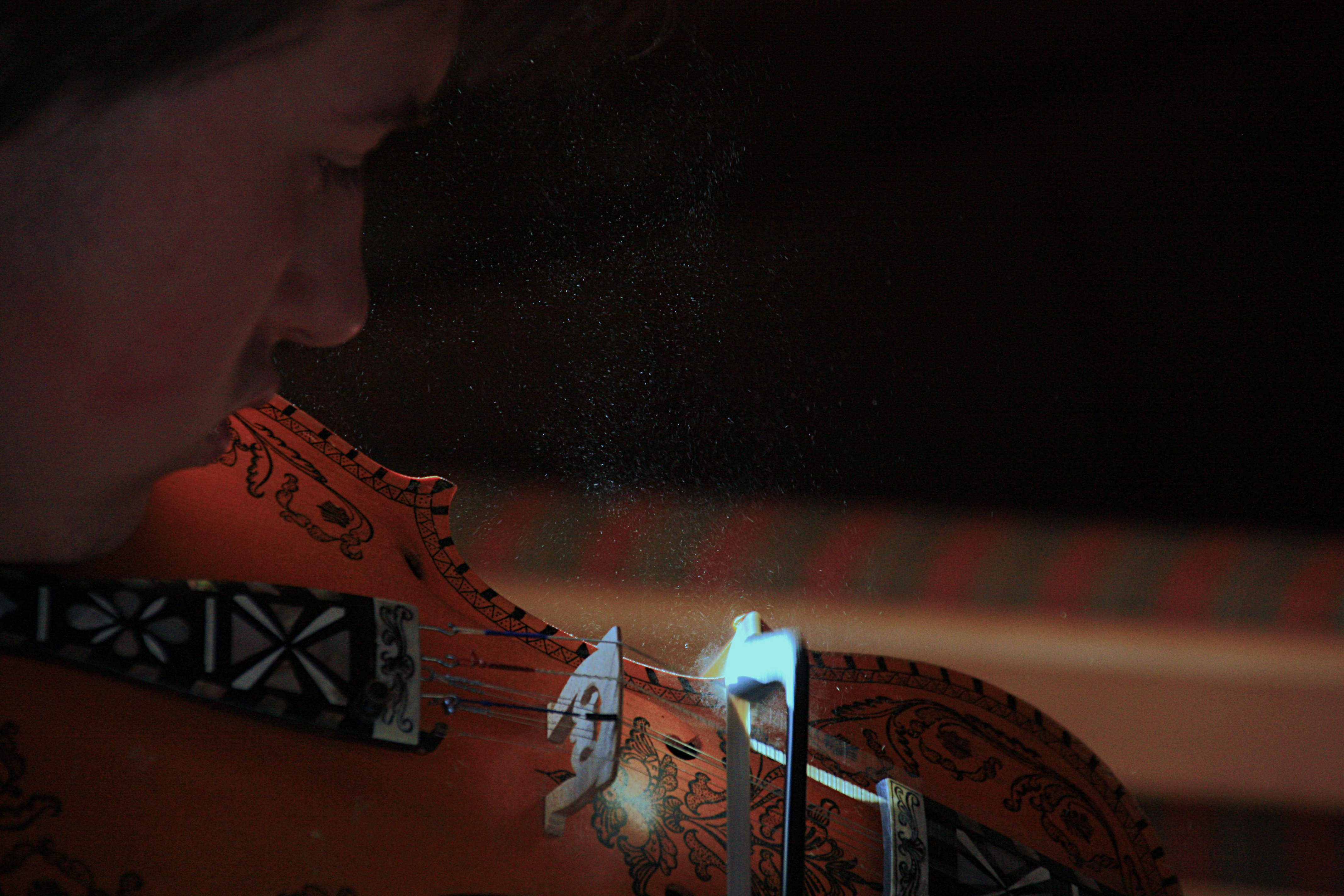 Hardingfele IMG_7593_Fotor.jpg