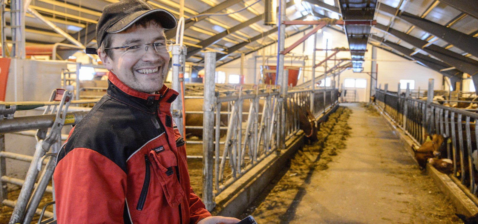 Ola S. Grøv er godt nøgd med kvardagen som bonde med mjølkerobot, automatisk foring og nybygd fjøs til 36 kyr.