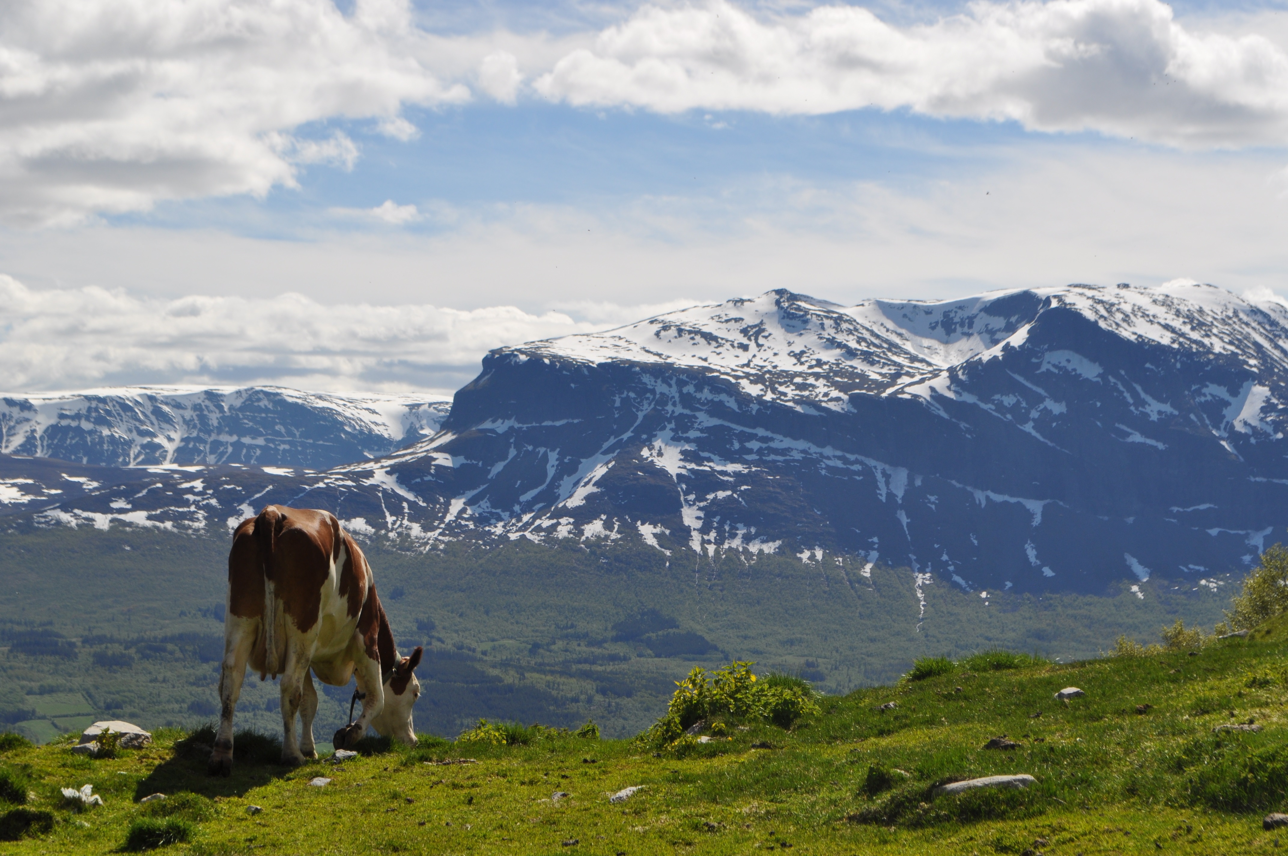 Velkommen til bokkveld og debatt på Vang folkebibliotek. Foto: Hilde Lysengen Havro