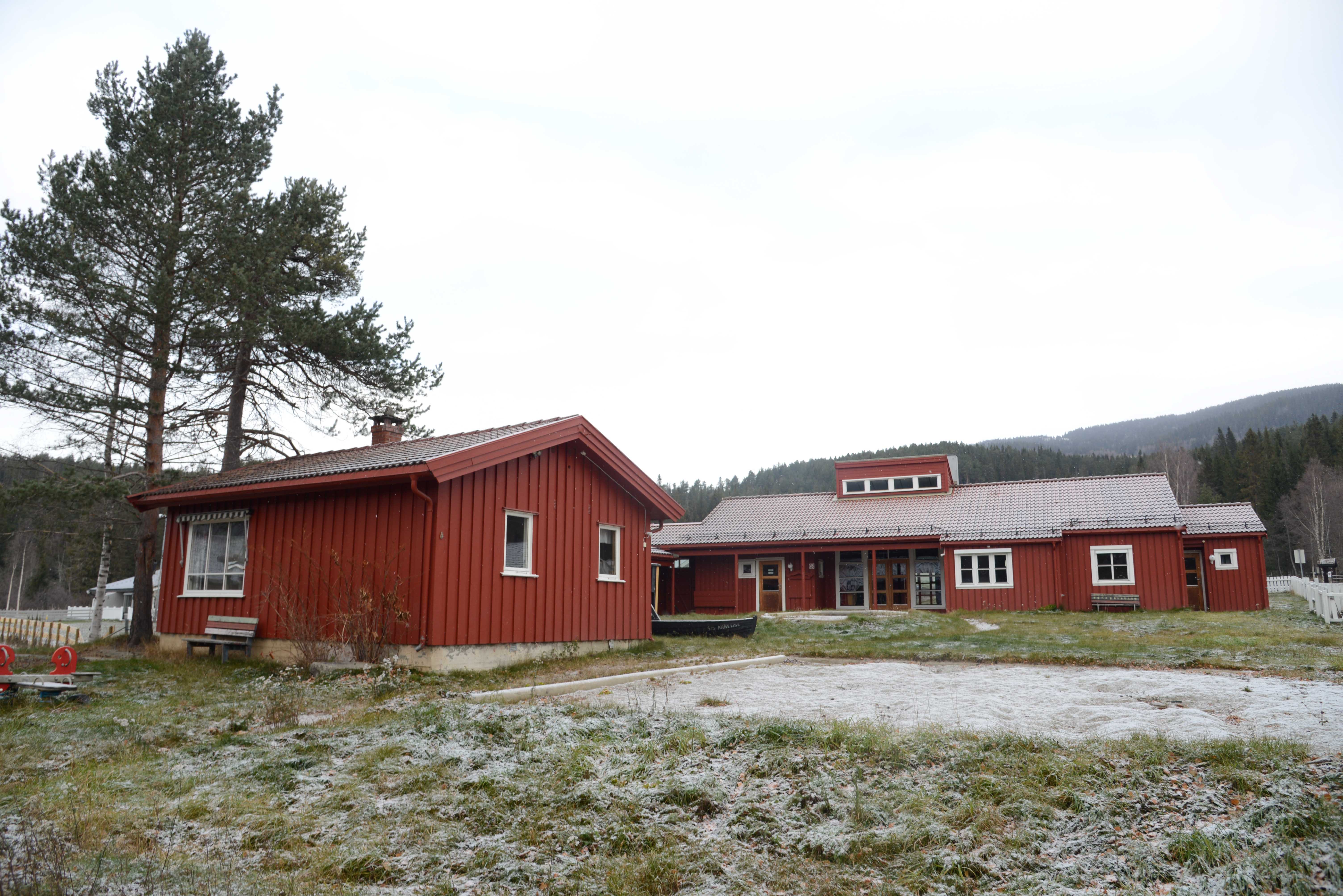 Stort uteområde og nokre fine furutre.