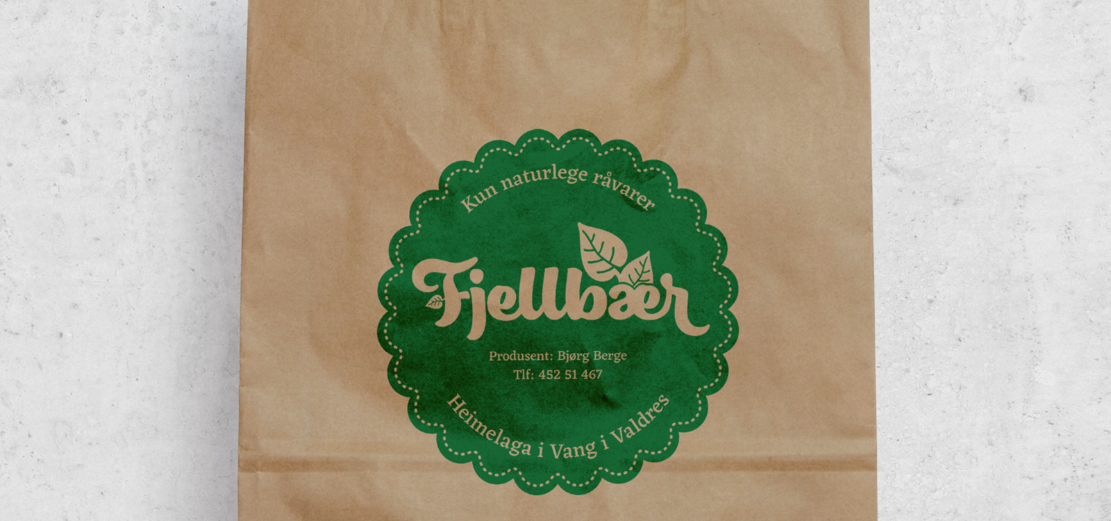 Logo og visuell profil for Fjellbær.