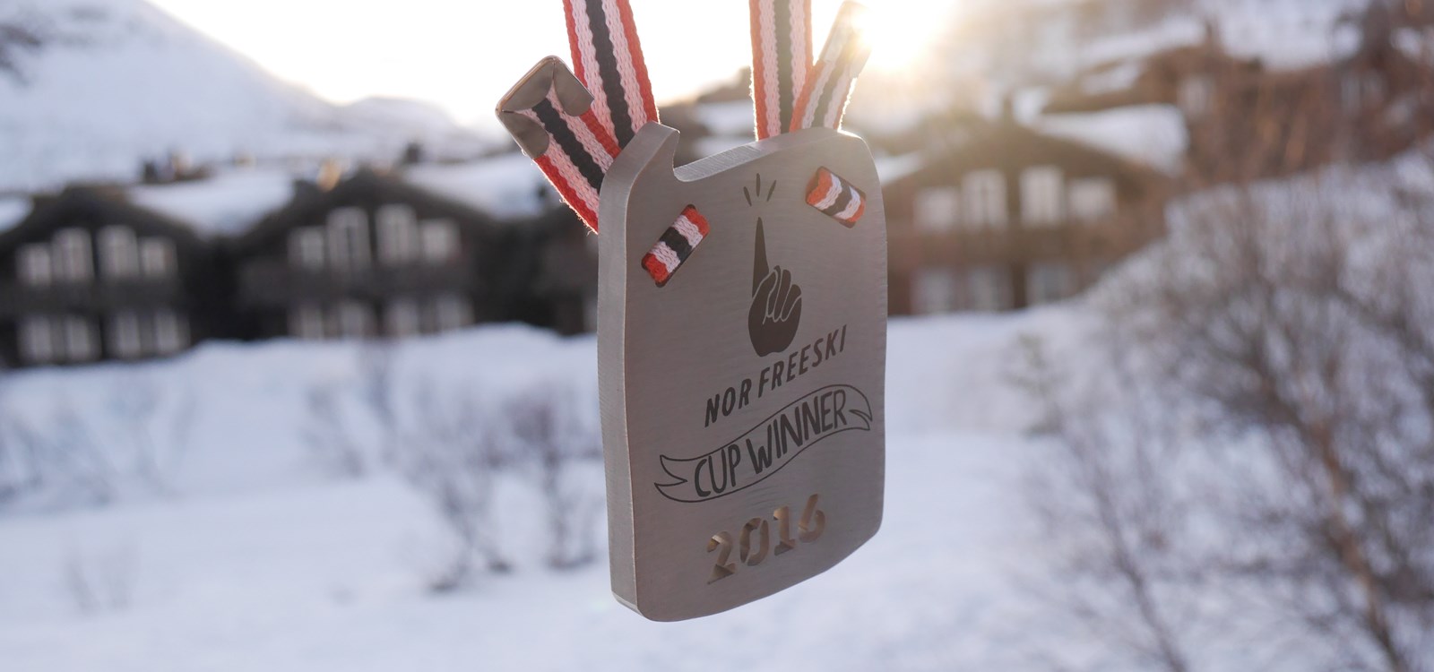 Medaljesett for NOR freeski, ei undergruppe i Norges Skiforbund.