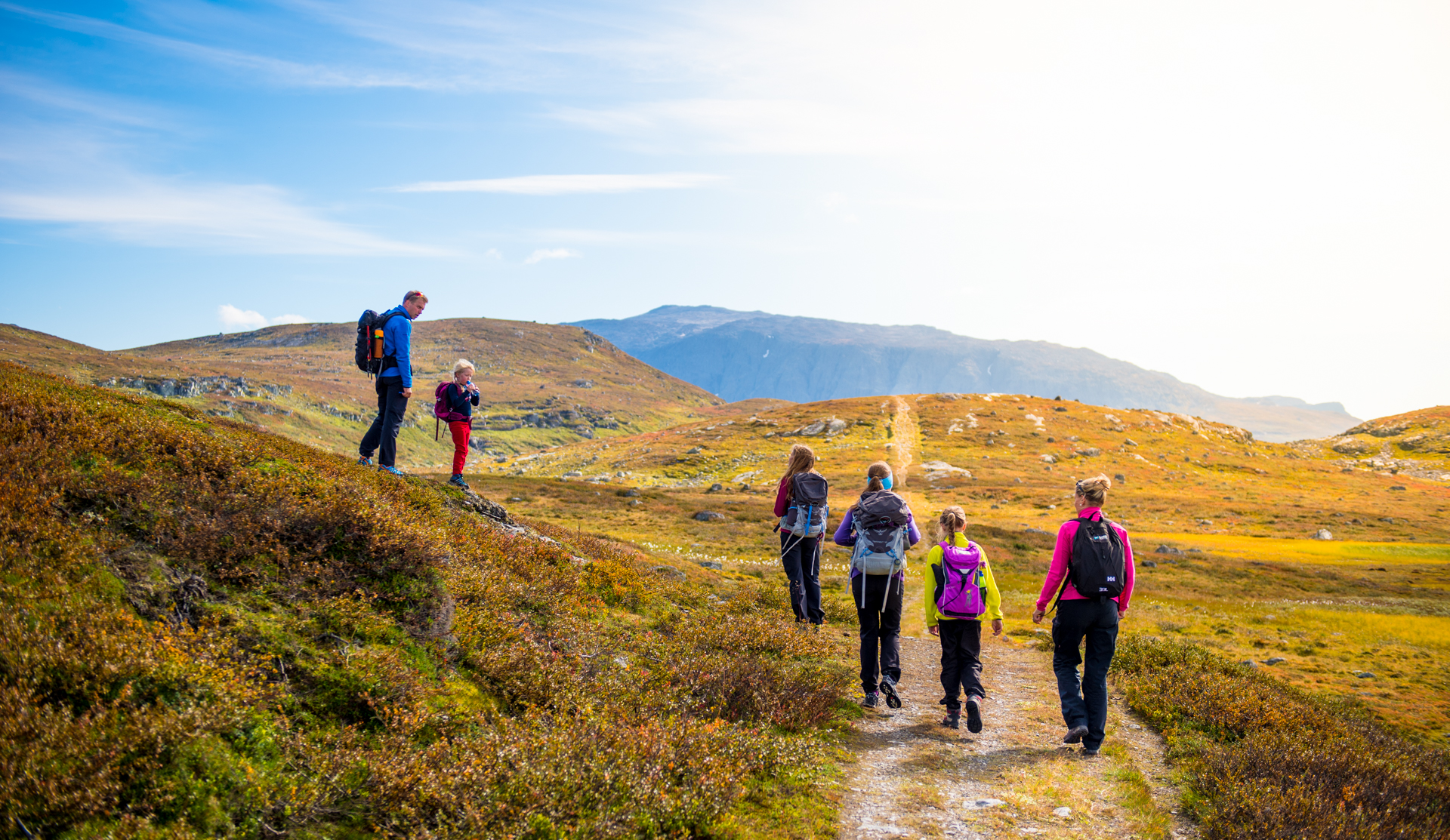 Kongevegen over Filefjell tilbyr ei unik pakke med vandring, kultur, natur, mat og overnatting - noko stadig fleire får auga opp for. Foto: Sverre Hjørnevik