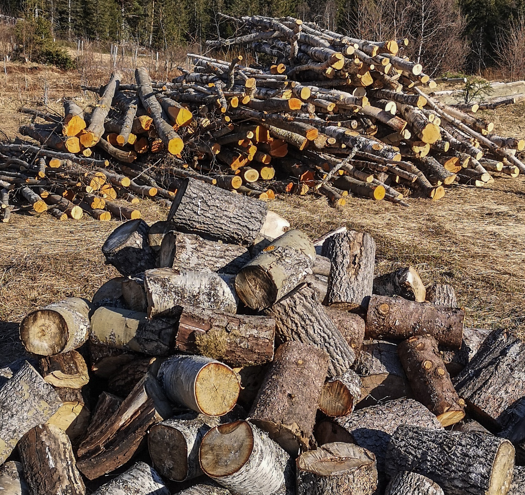 Logo Vedprodusentar i Vang