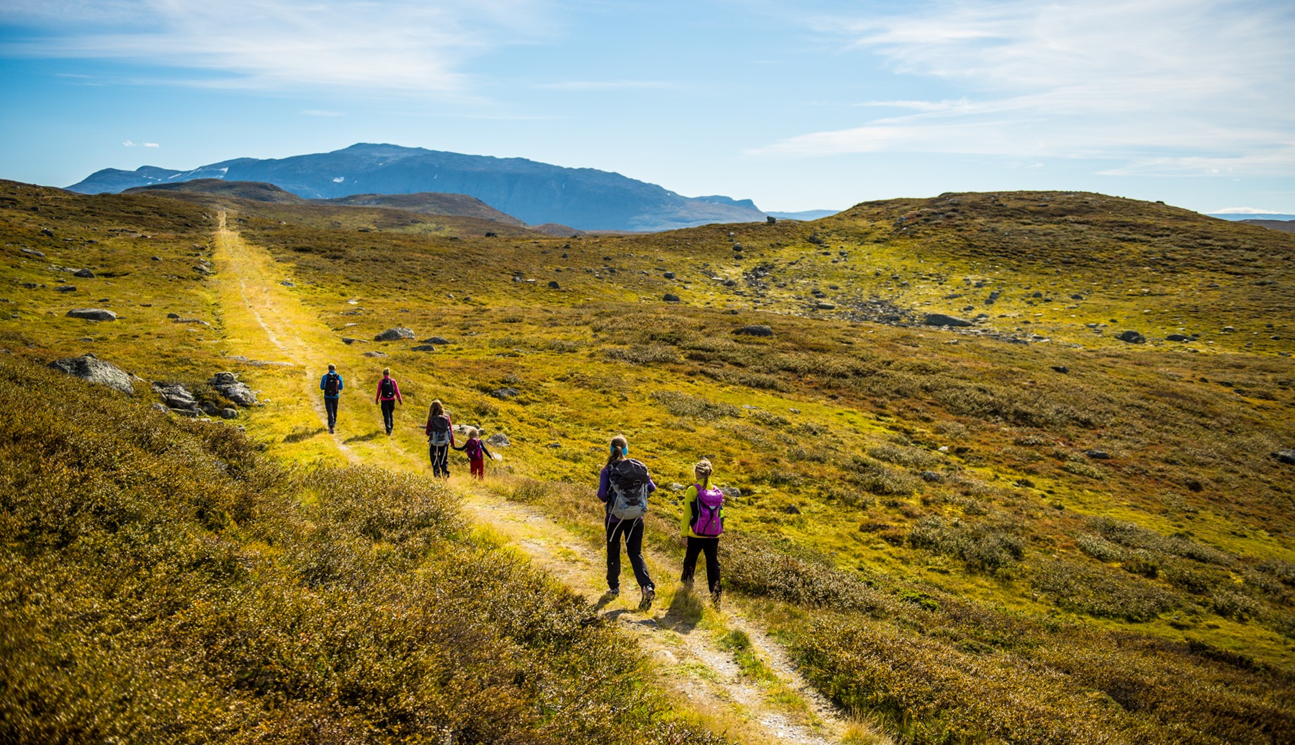 Statensvegvesen Kongevegen 21668