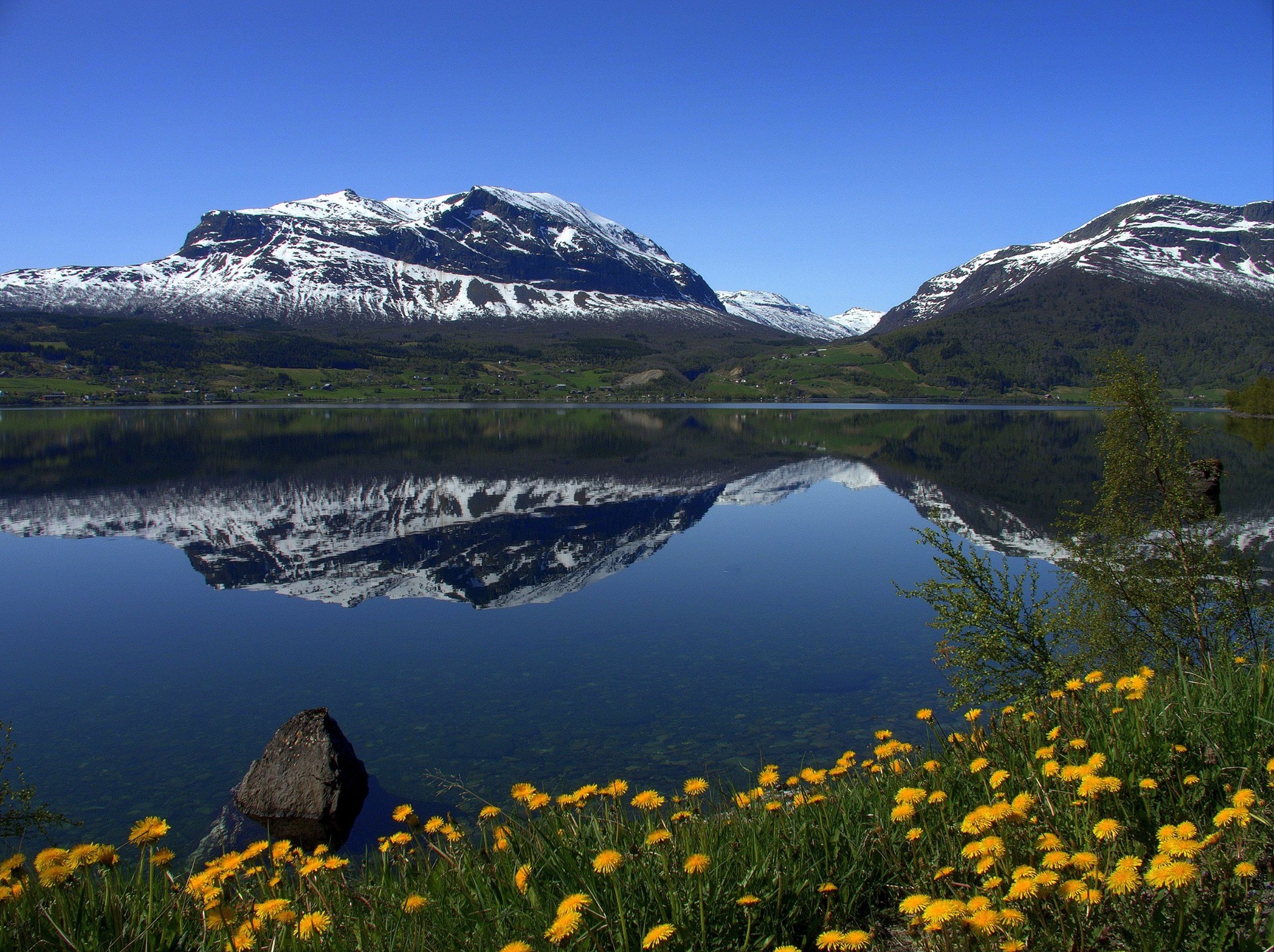 Foto Lisbeth Damengen