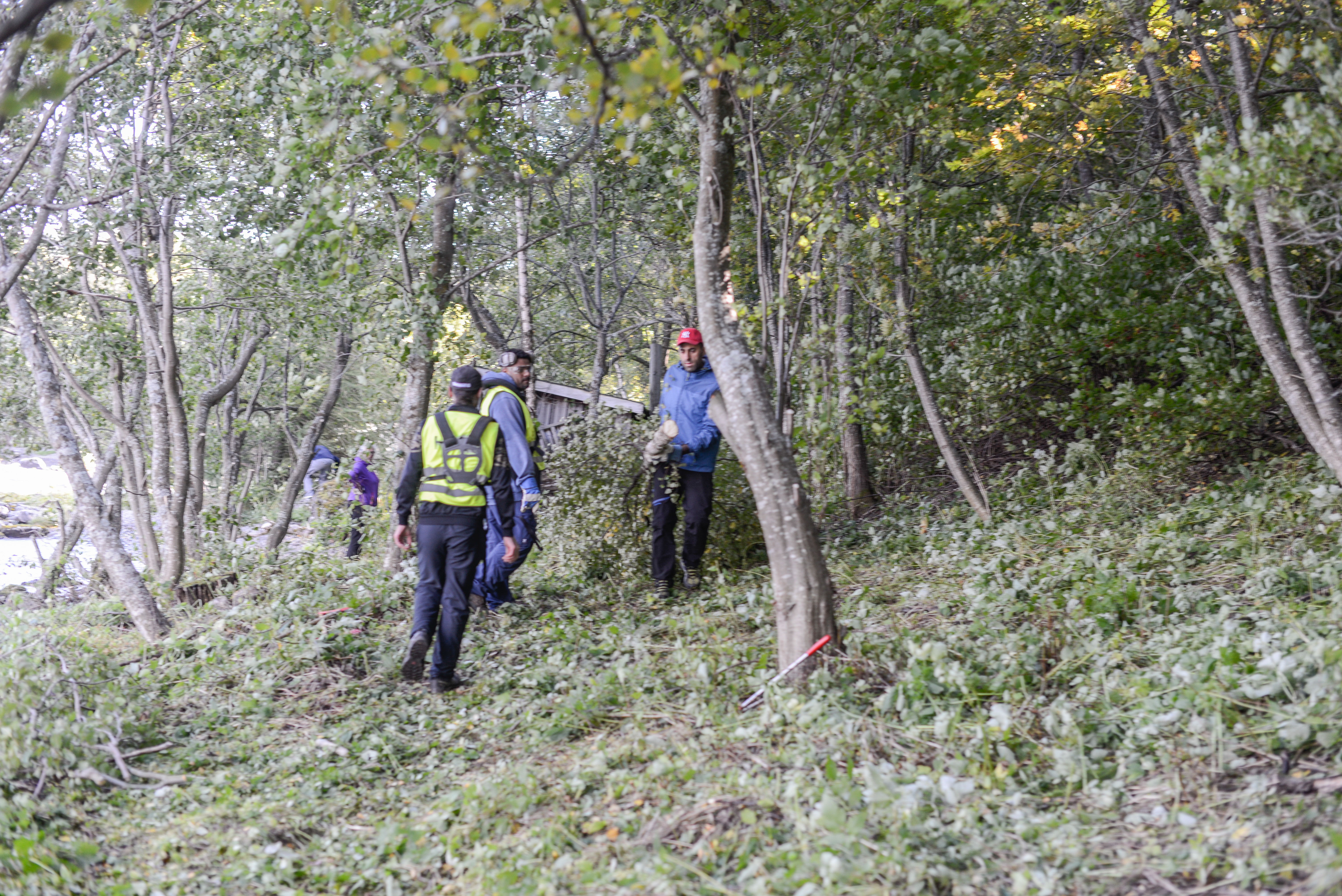 Coop Sentrum (3 Of 12)