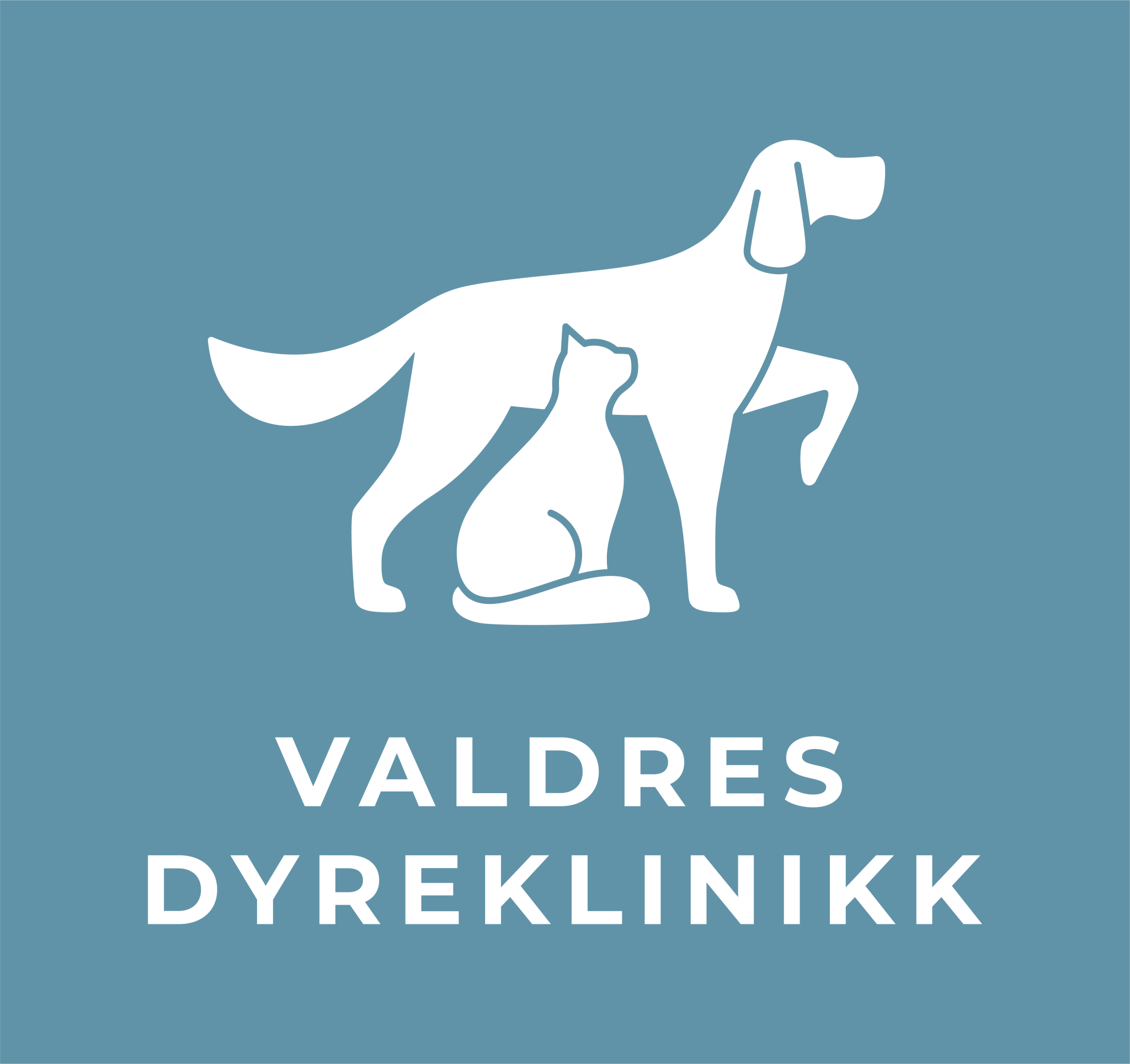 Logo Valdres Dyreklinikk 