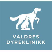 Logo Valdres Dyreklinikk 