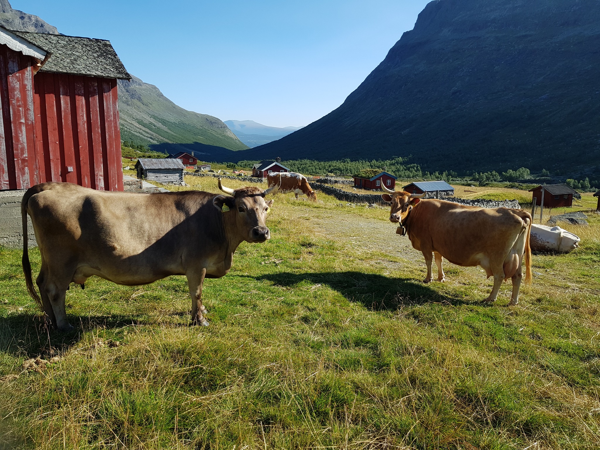 Foto: Sparstadstølen i Sanddalen