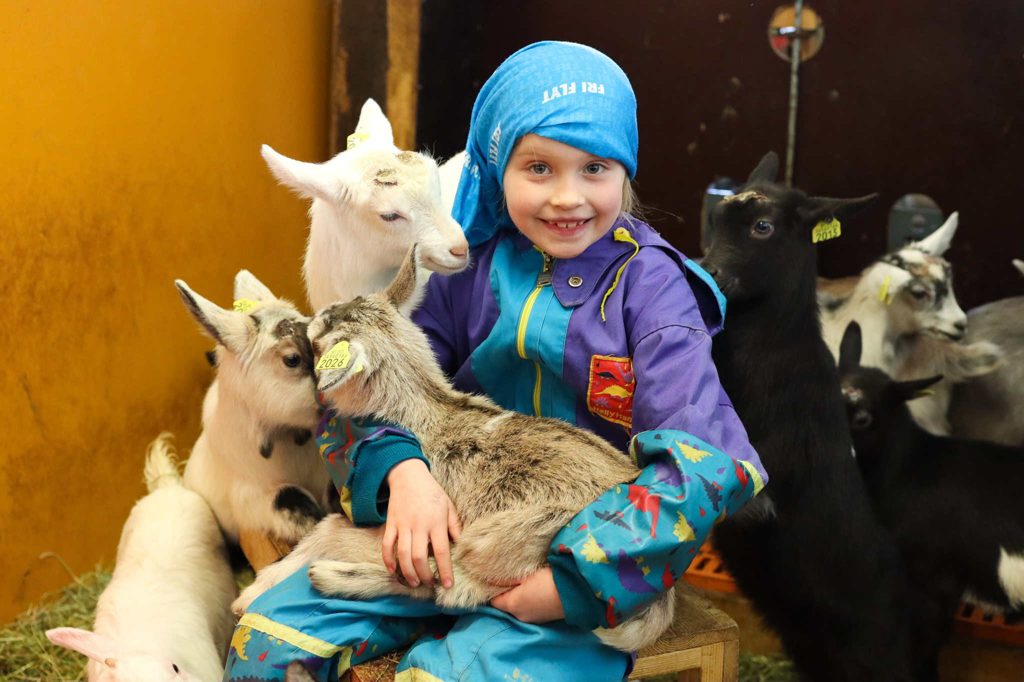 D82D1266 DE68 4FB4 9C3E CD18AD1D2D60