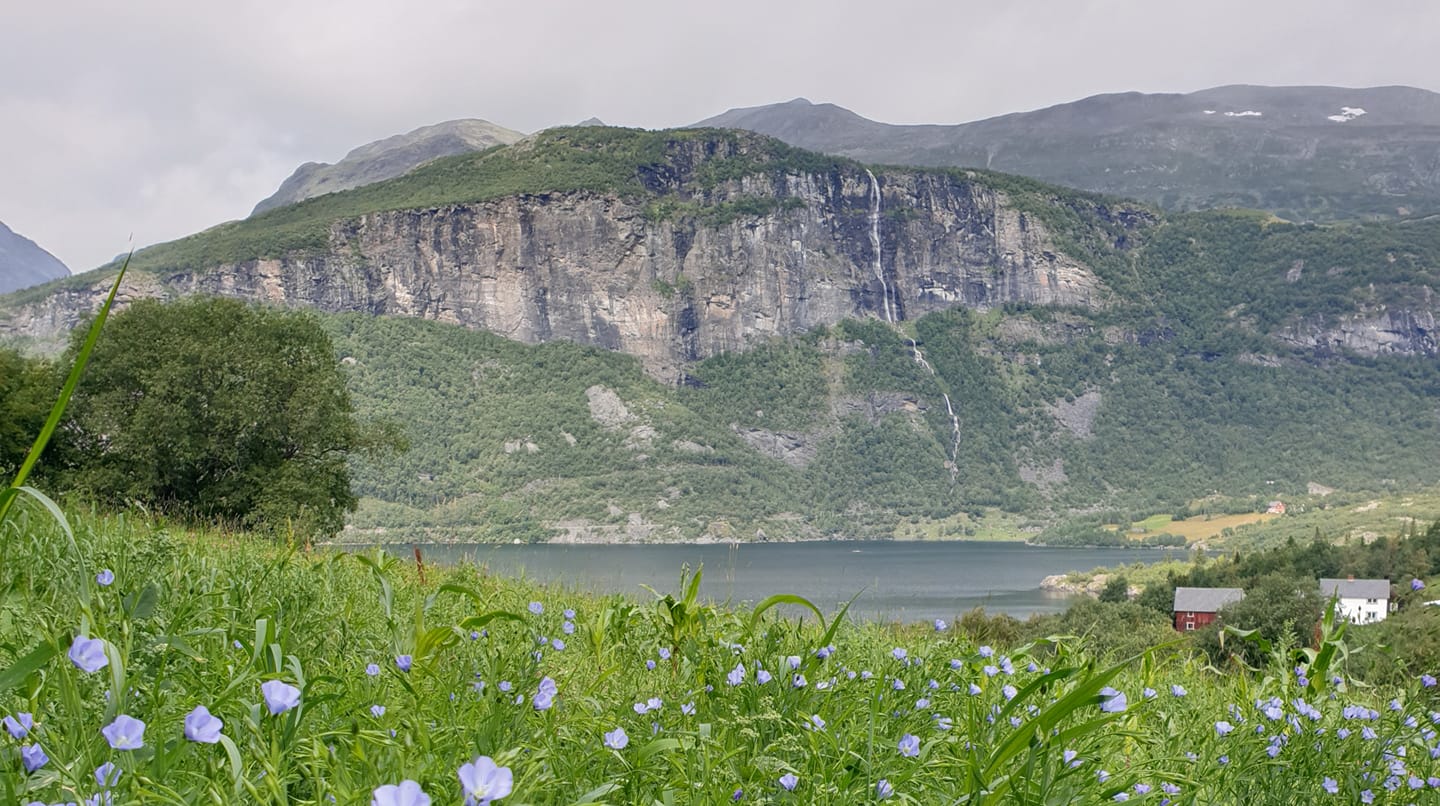 229958222 110483794654467 3924127910737532326 N