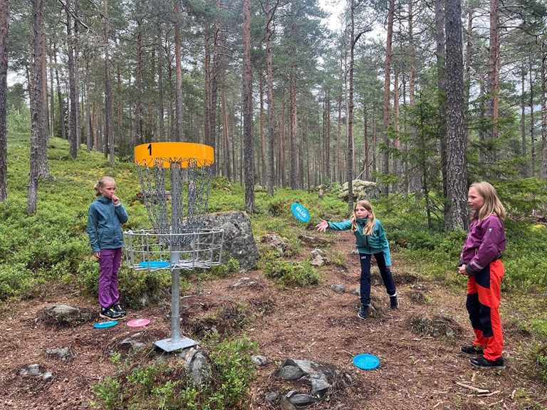 Frisbeegolfbana i Ryfoss ligg i skogen bak YX, langs stien opp til utsiktspunktet.
