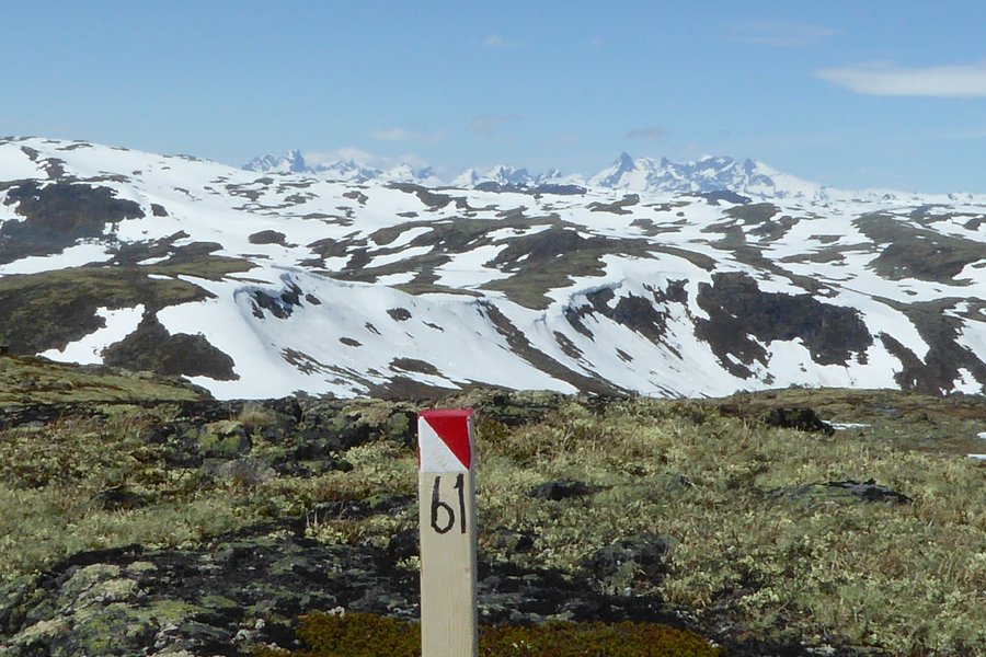 Flott postplassering frå eit tidlegare år med turorientering på Tyin-Filefjell. Foto: Tyin.-Filefjell orienteringsklubb